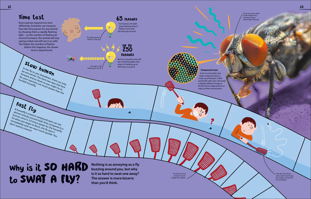 9798217304769-spread-5