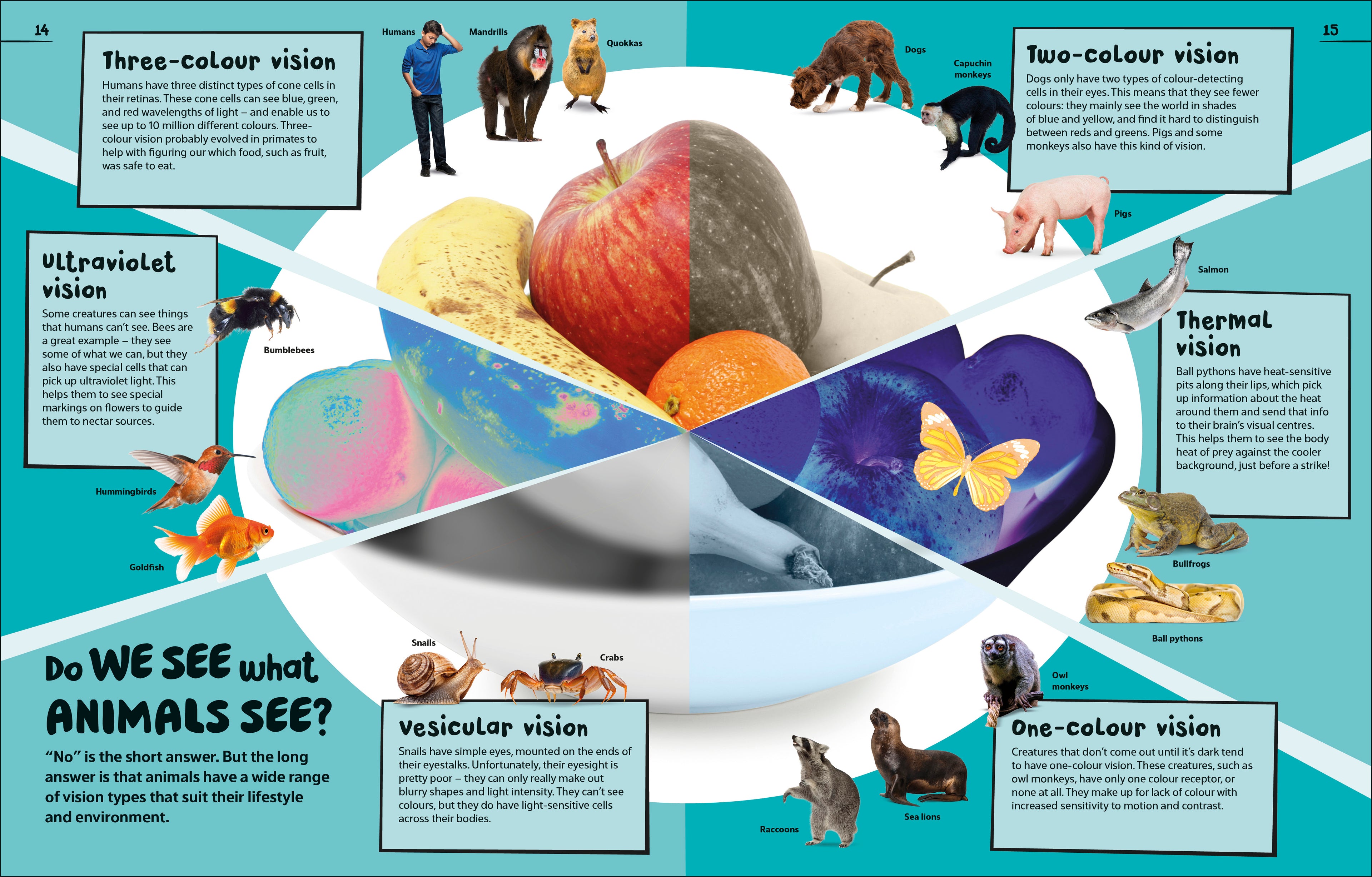 9798217304769-spread-6