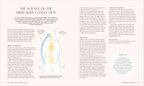 Somatic Healing