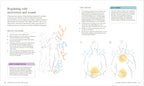 Somatic Healing