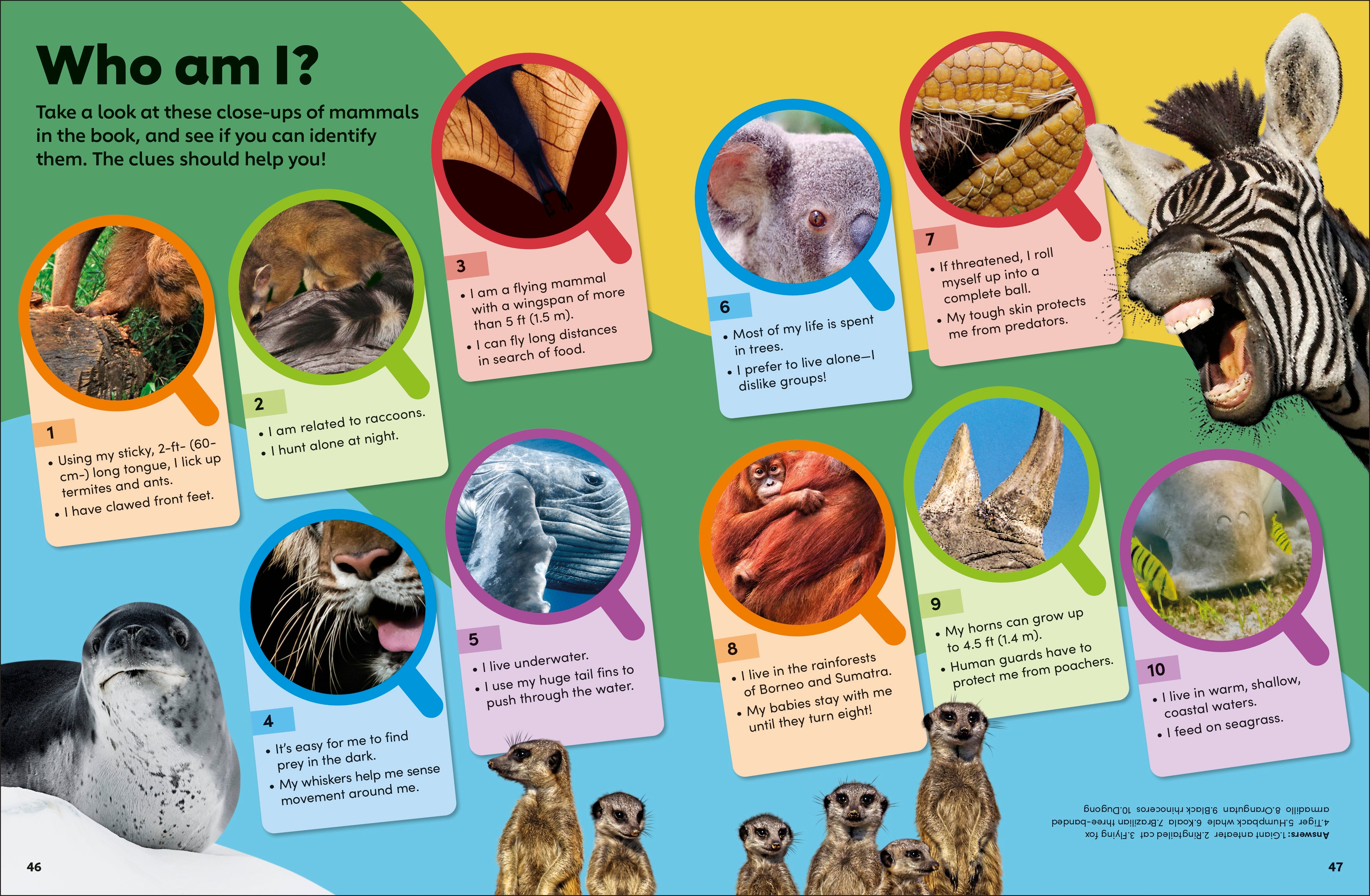 Eyewonder Mammals