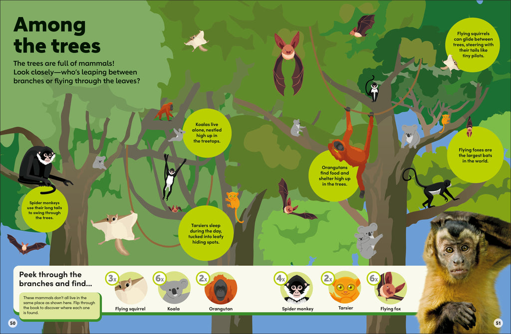 Eyewonder Mammals
