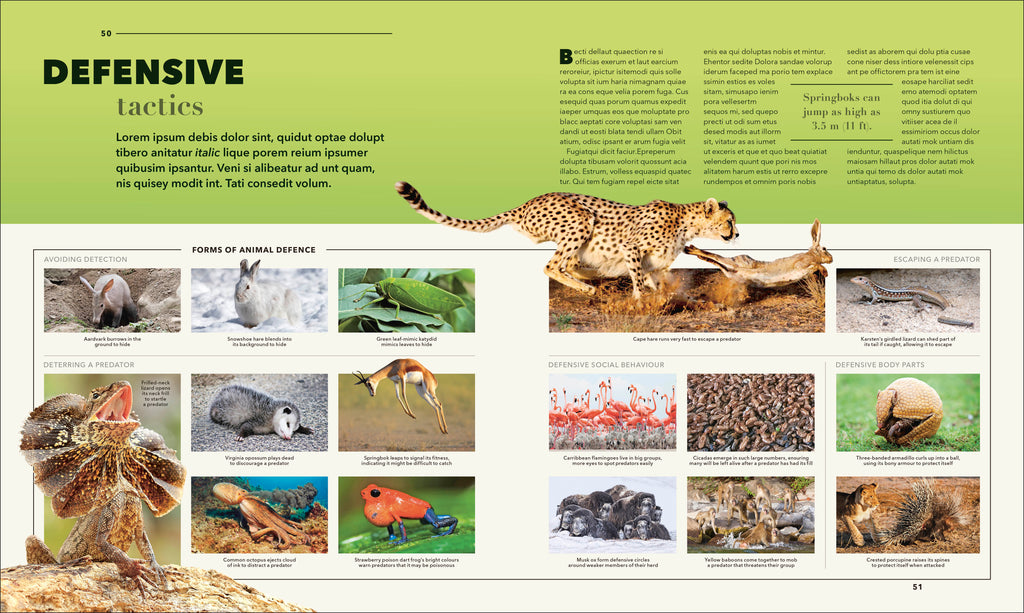 9798217307340-spread-1