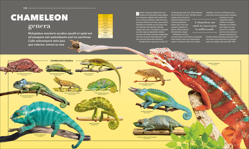 9798217307340-spread-2