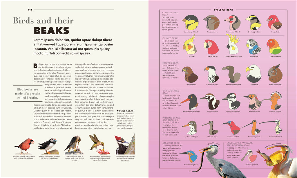 9798217307340-spread-3