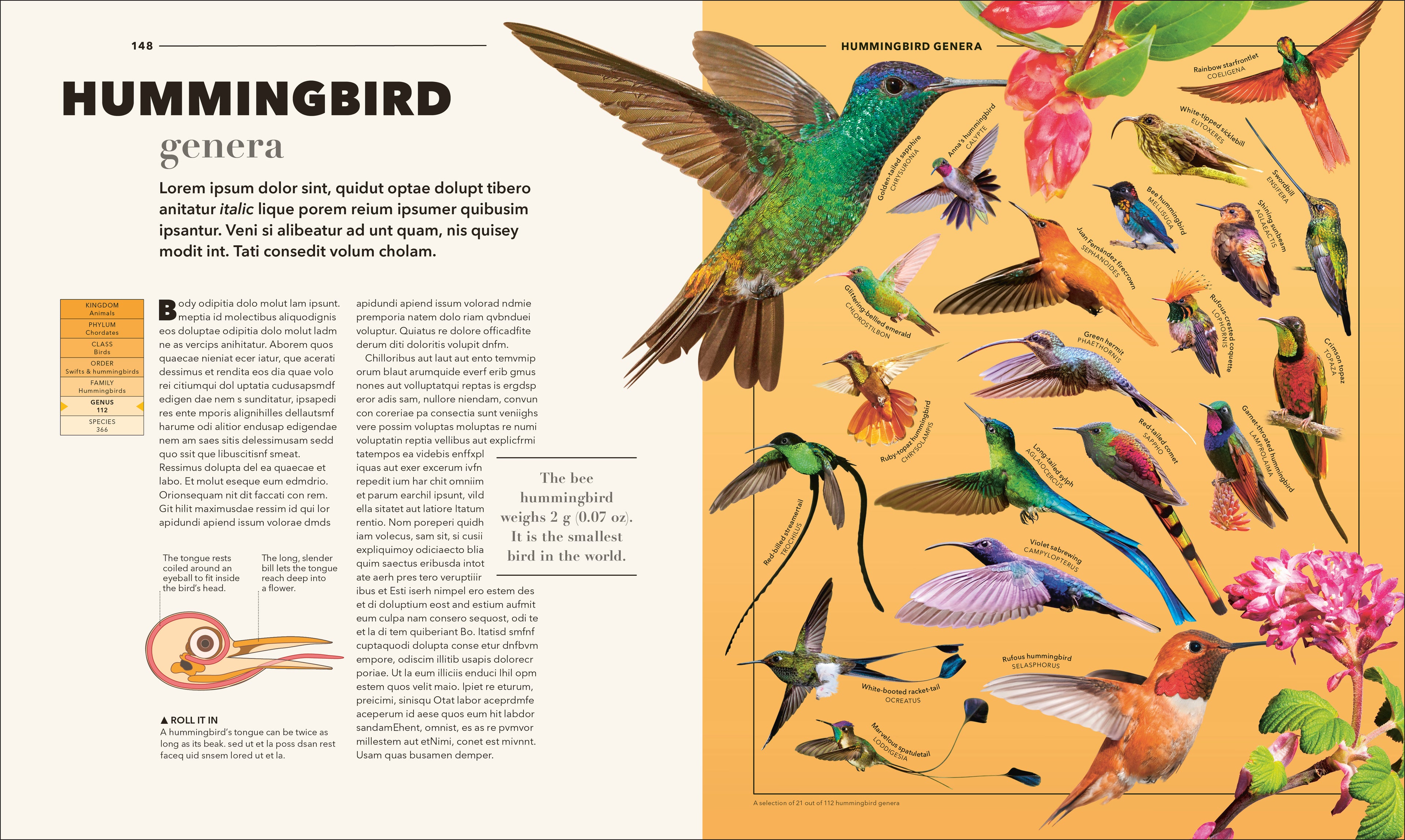 9798217307340-spread-4