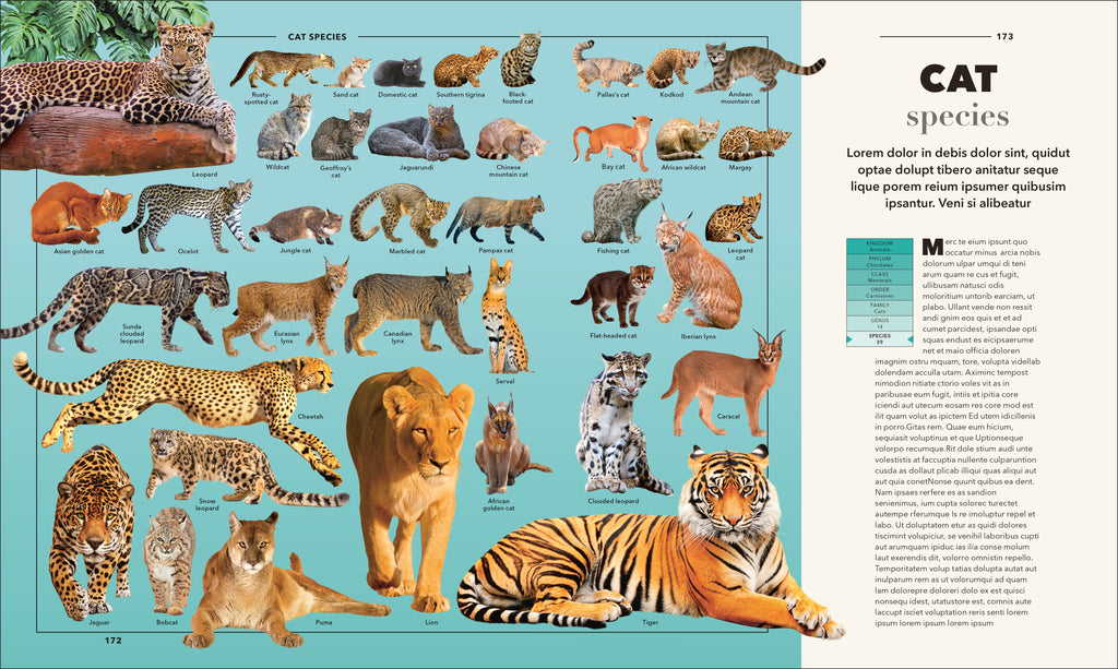 9798217307340-spread-5