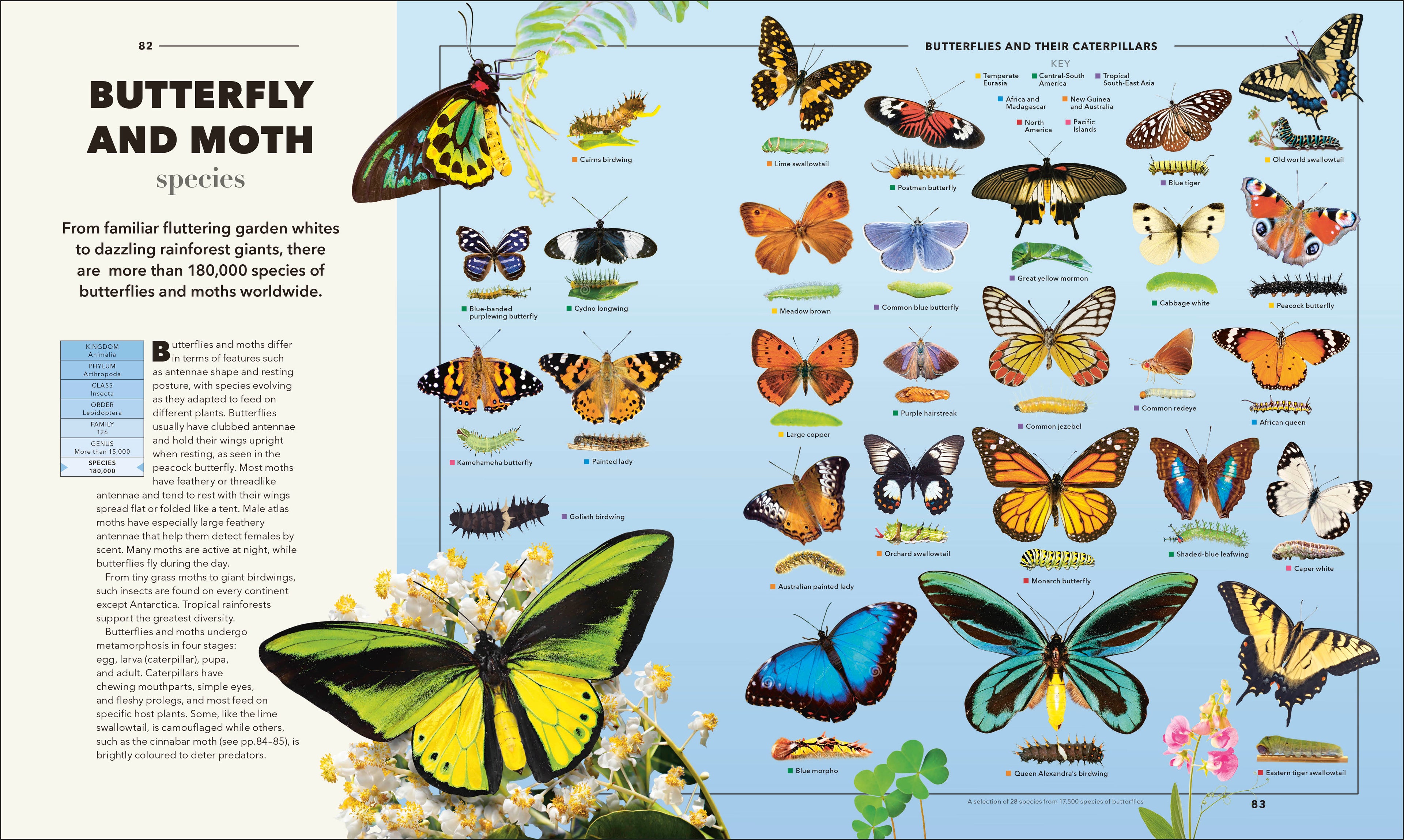 9798217307340-spread-7