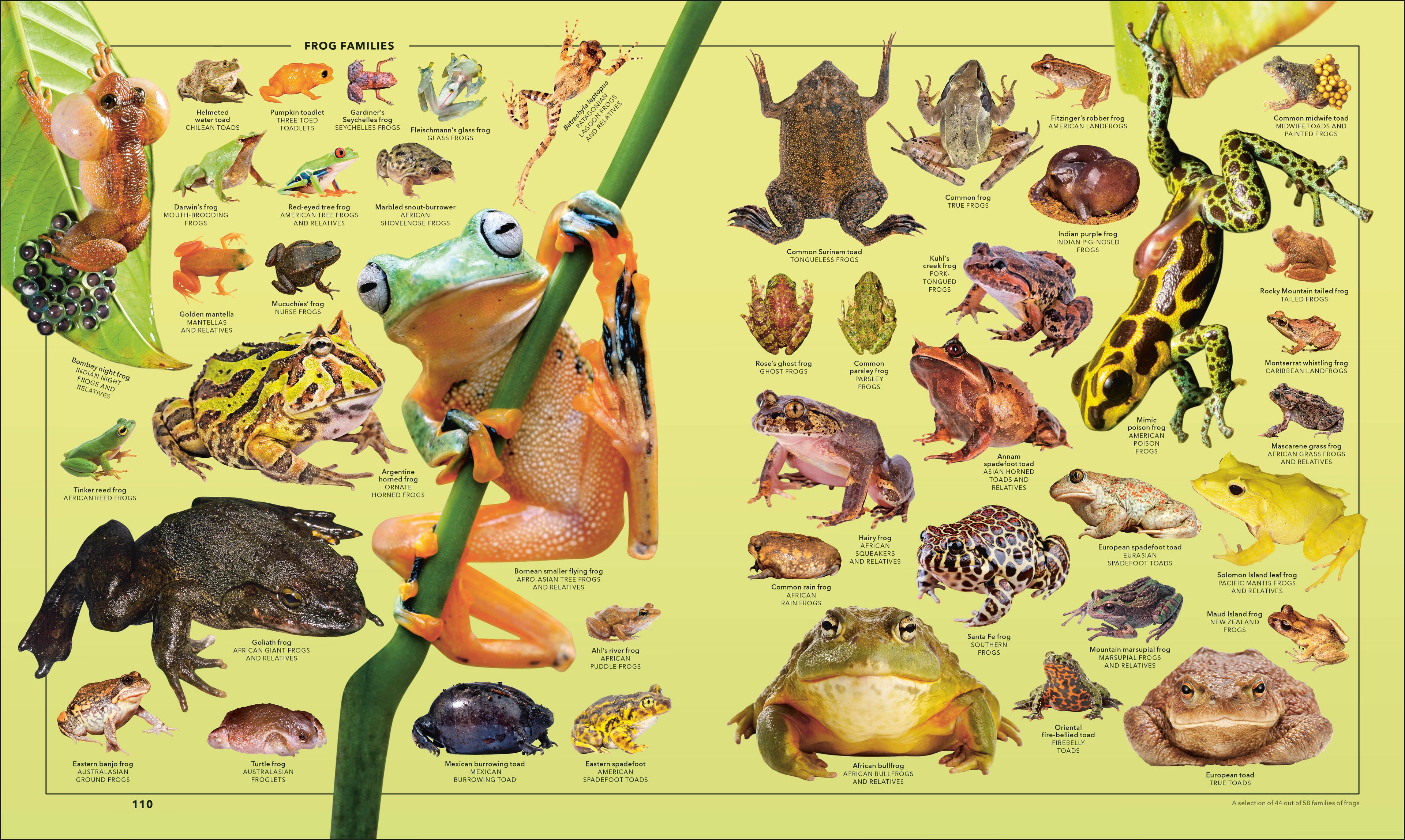 9798217307340-spread-8