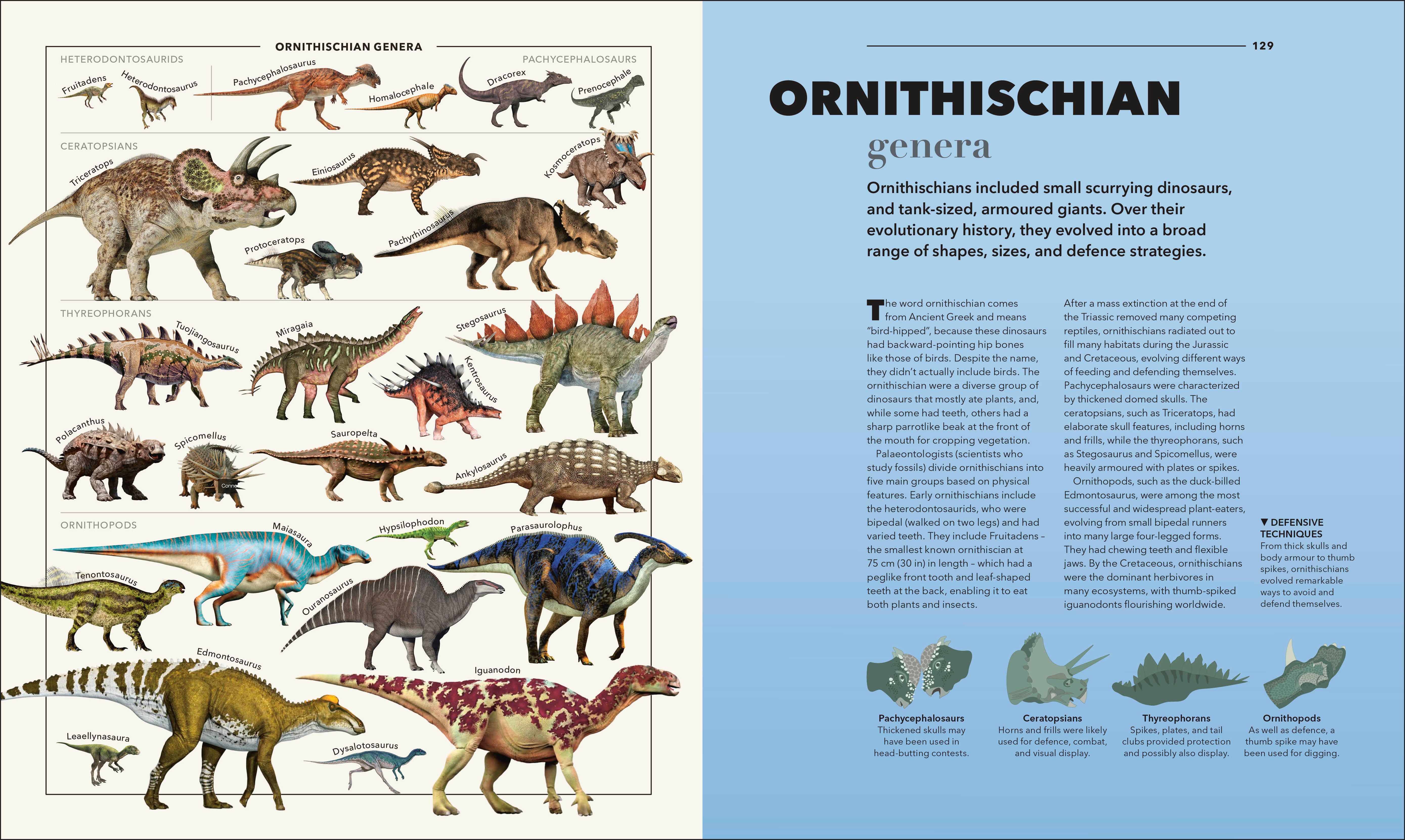 Animals A Visual Compendium – DK