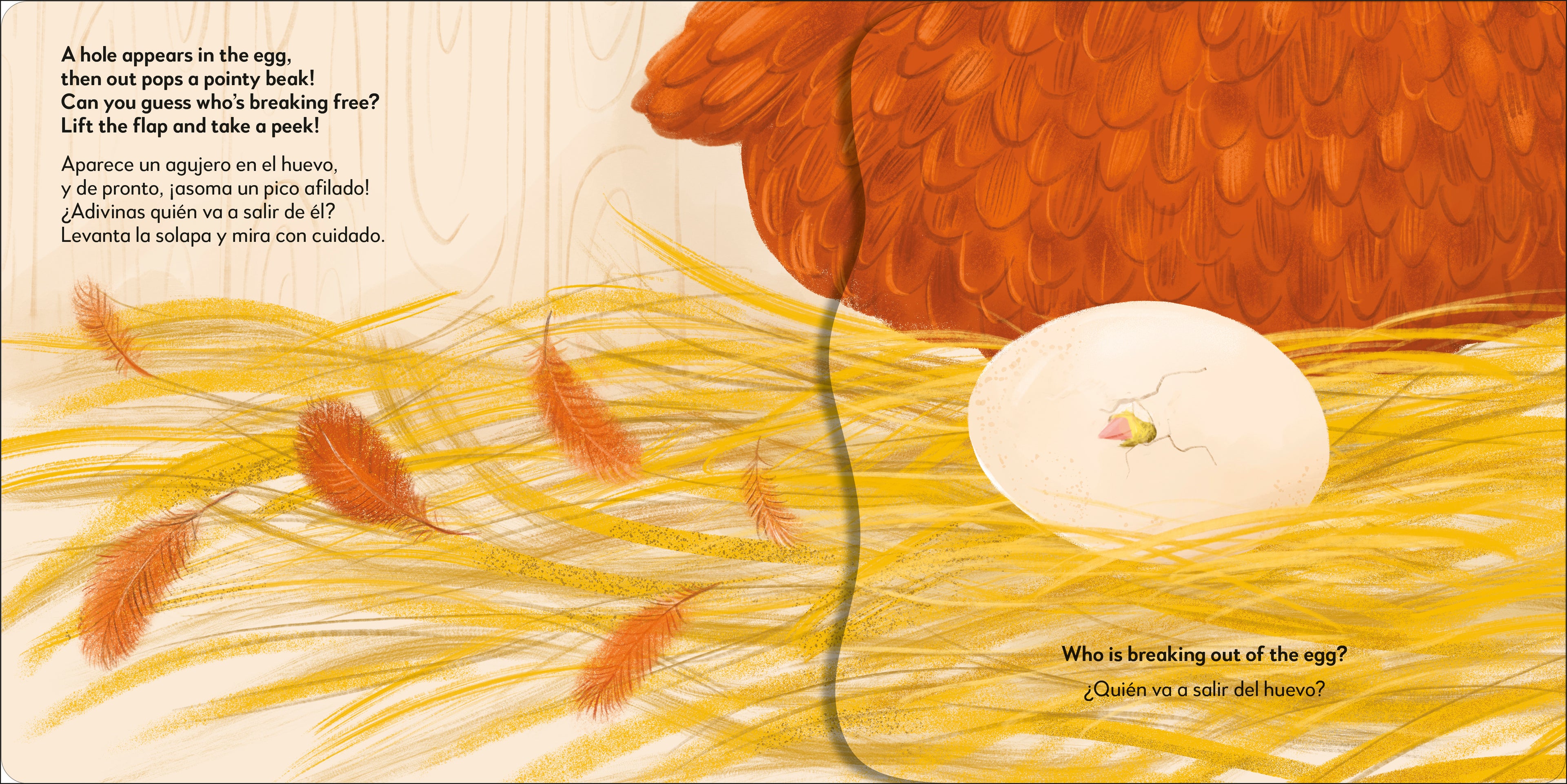 9798217307517-spread-4