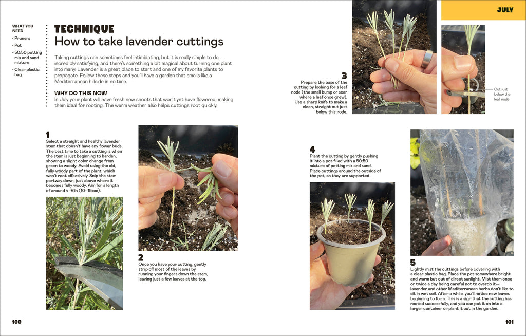 The Easy Garden