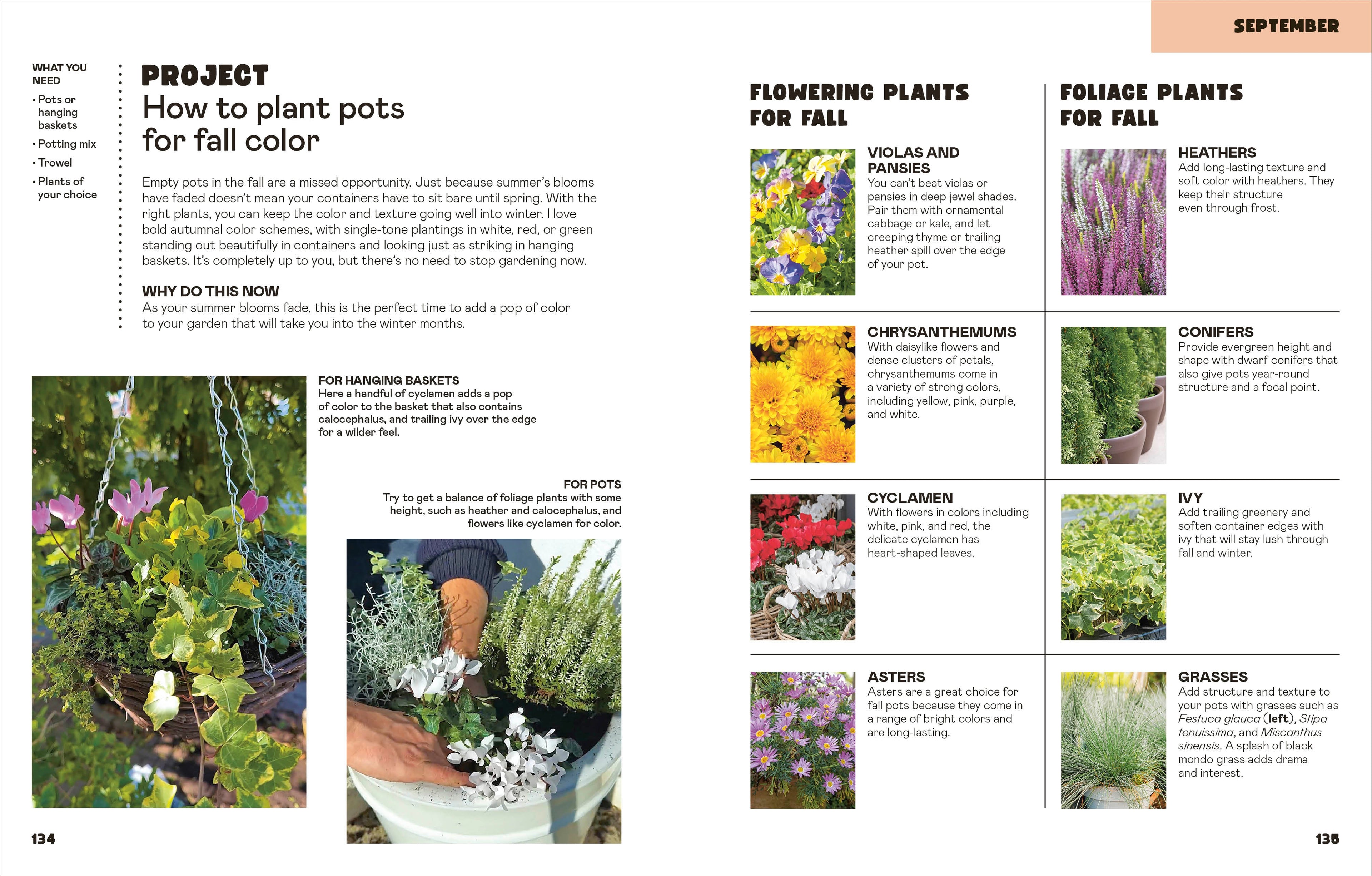 The Easy Garden