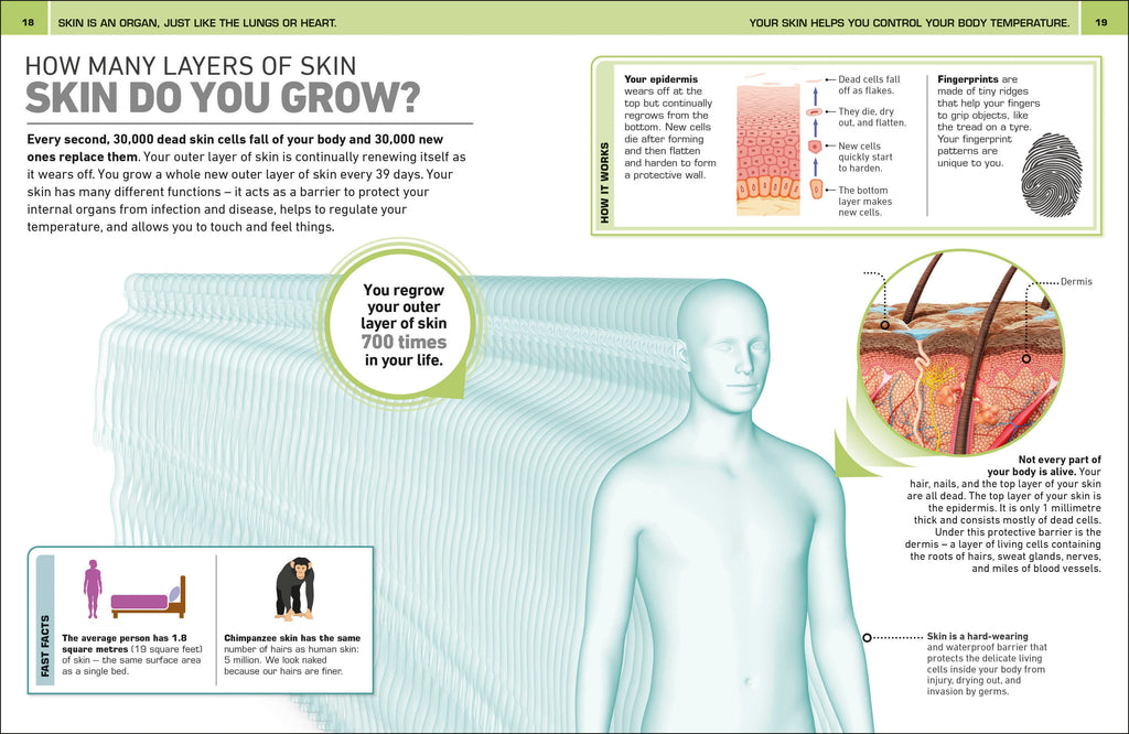 9780241446645-It Can't Be True! Human Body!-Book-Spread Image (PRHC Design Do Not Use)-1