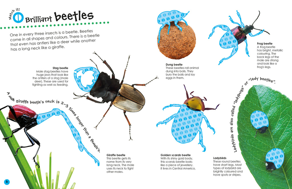 9780241247372-Bugs Ultimate Sticker Book-Sticker Book-Spread Image (PRHC Design Do Not Use)-2