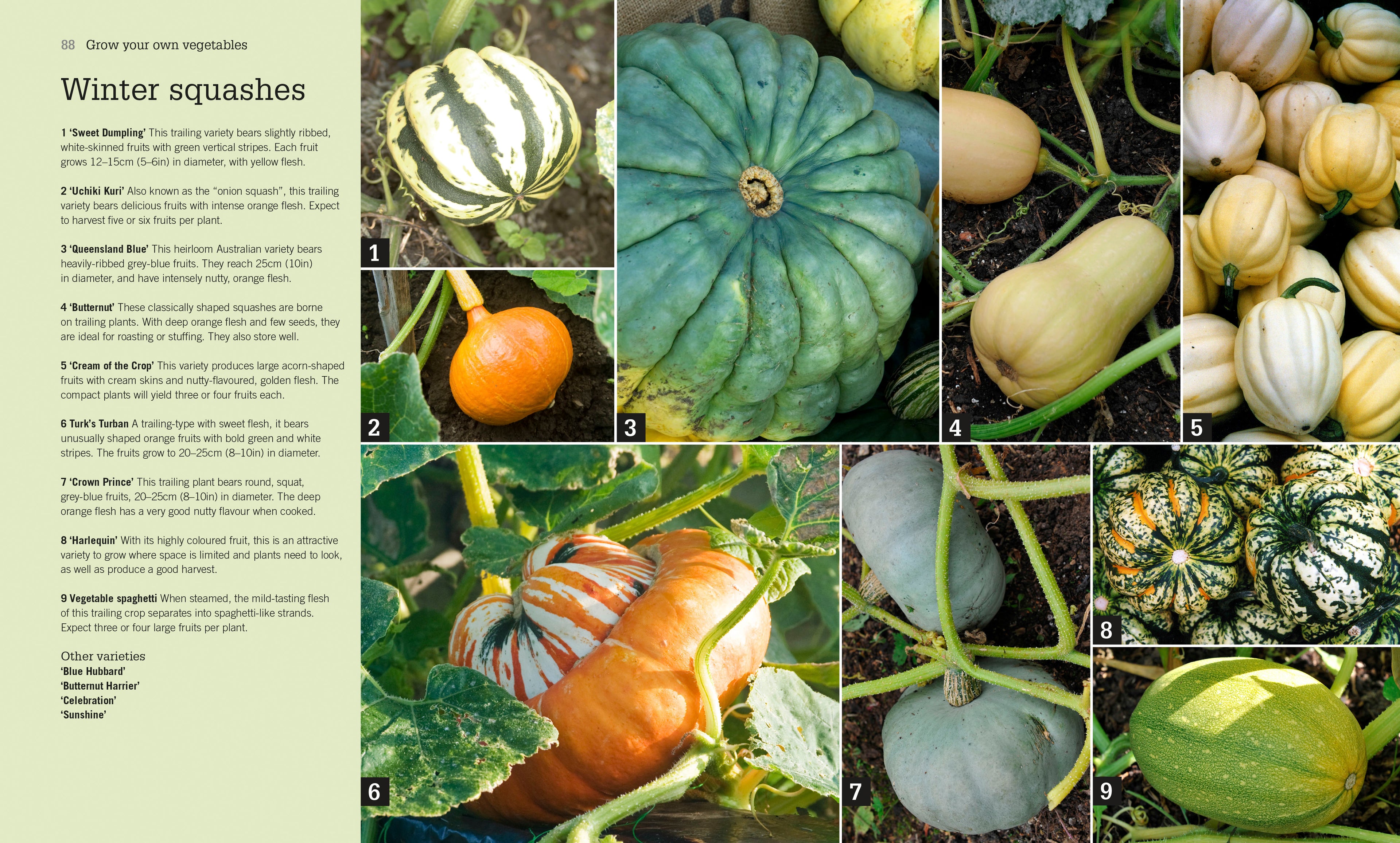 9780241270035-RHS Fruit and Veg Box-Slipcase of Editions-Spread Image (PRHC Design Do Not Use)-2