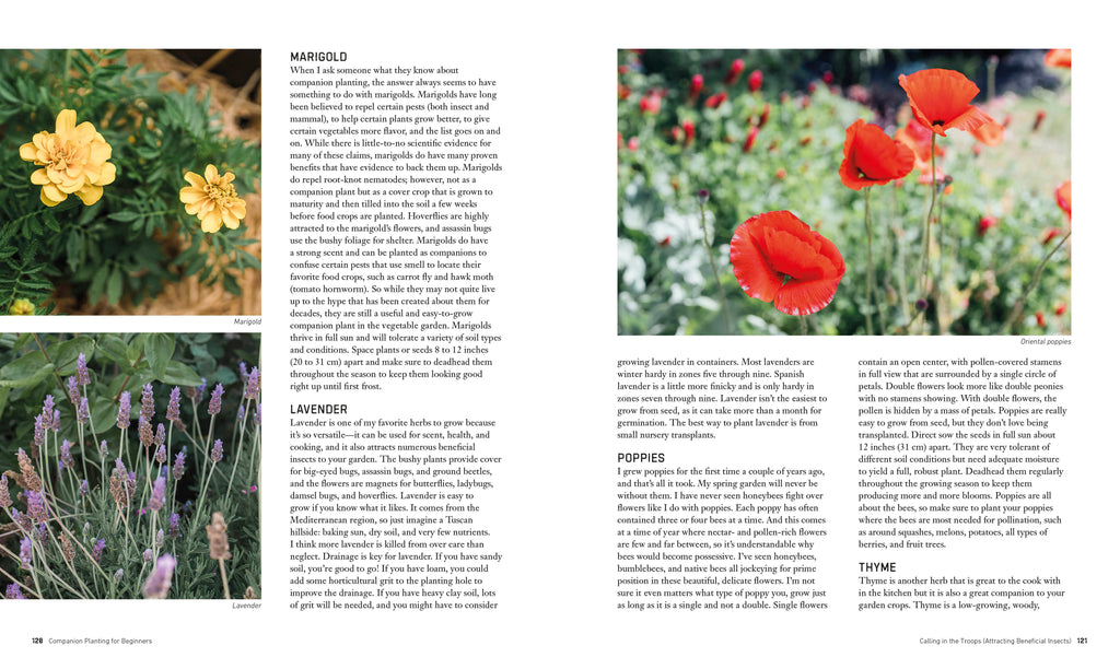Companion Planting for Beginners-Spread, Image, (PRHC, Design, Do, Not, Use)-6