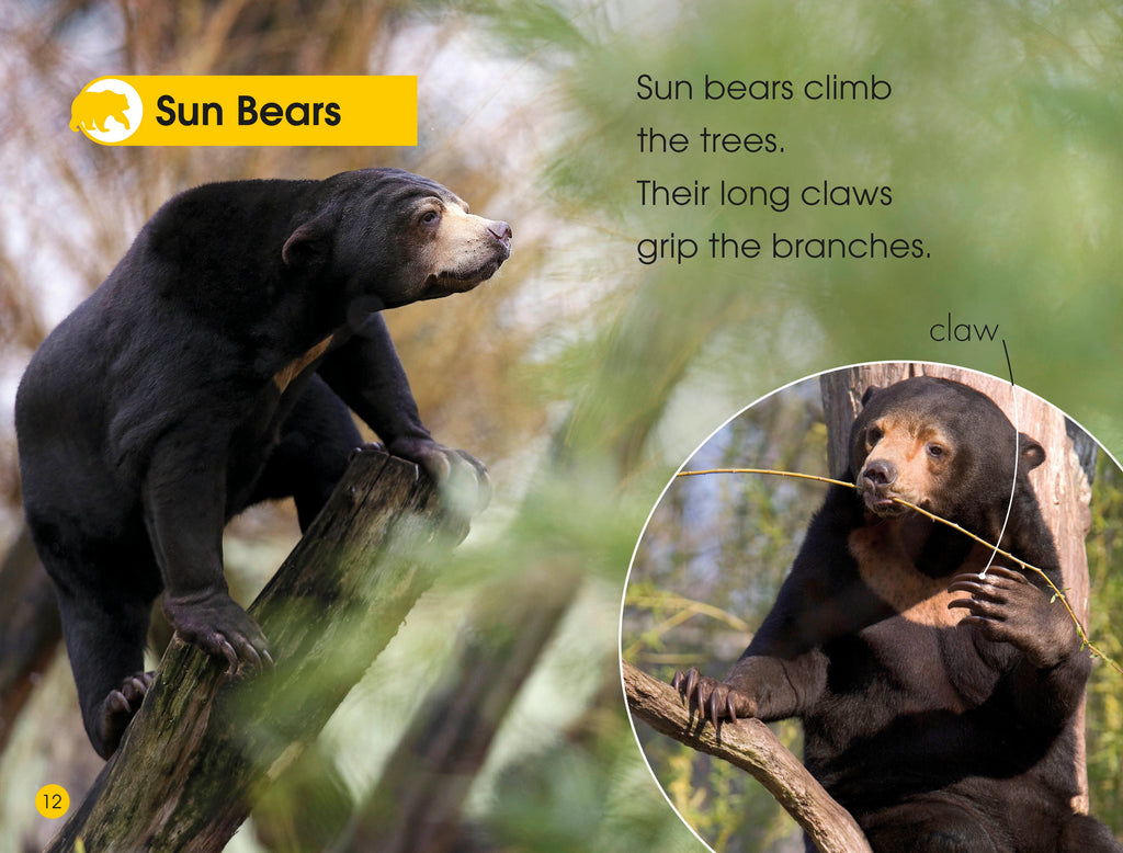 DK Readers L1: Jungle Animals