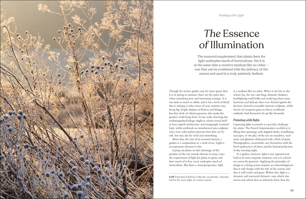 The Winter Garden-image