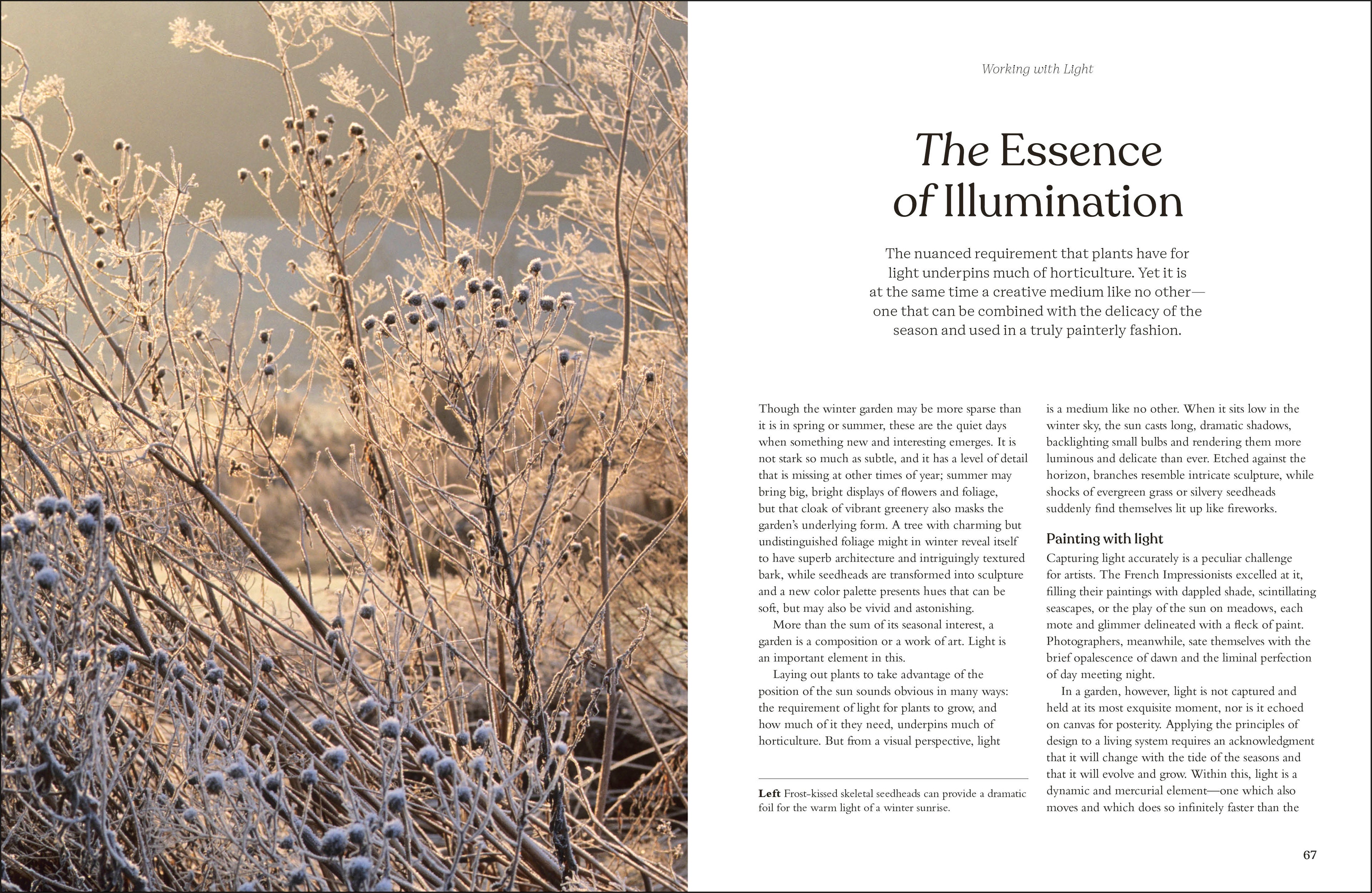 The Winter Garden-image