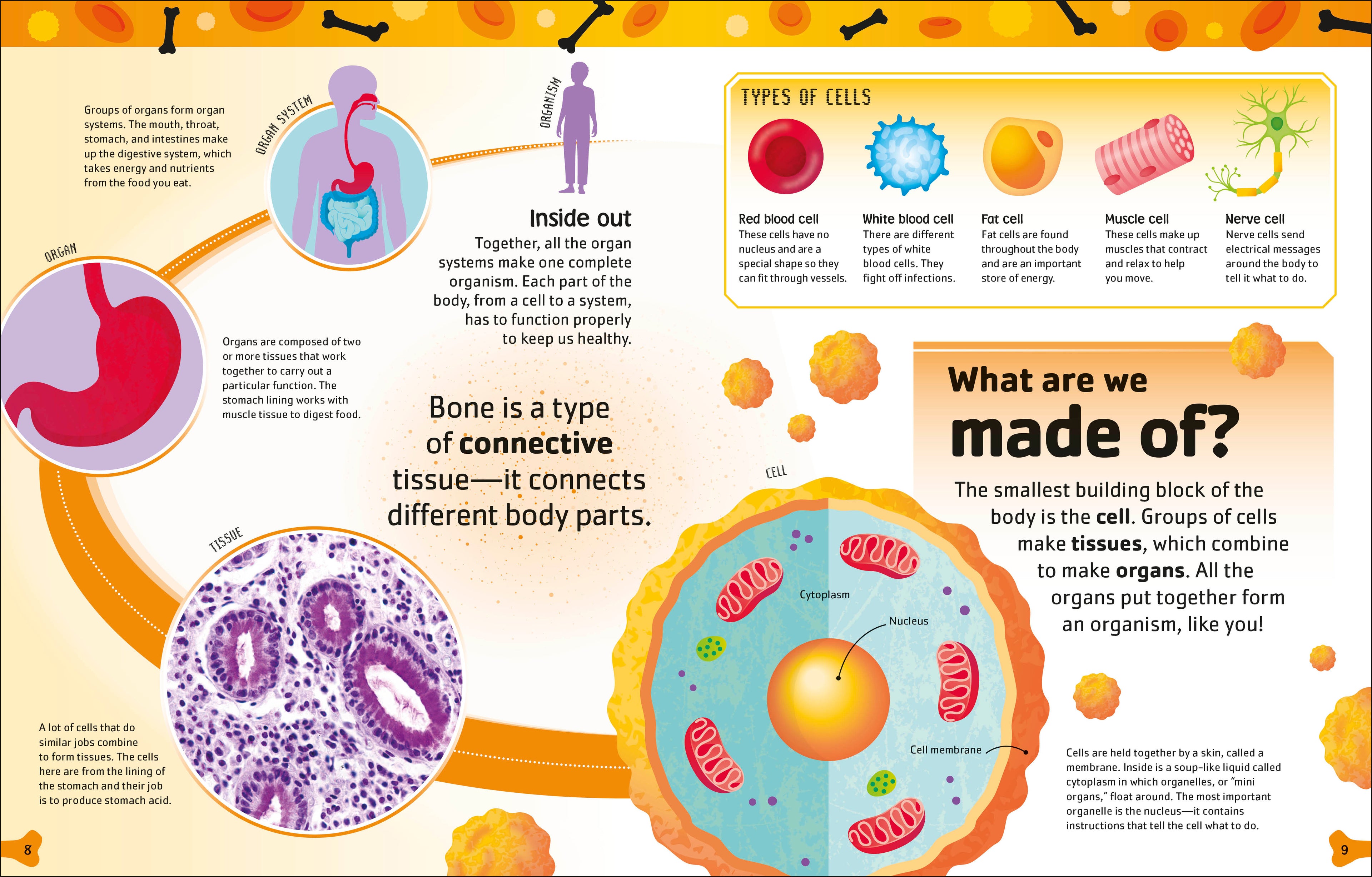 The Body Book-Spread, Image, (PRHC, Design, Do, Not, Use)-1