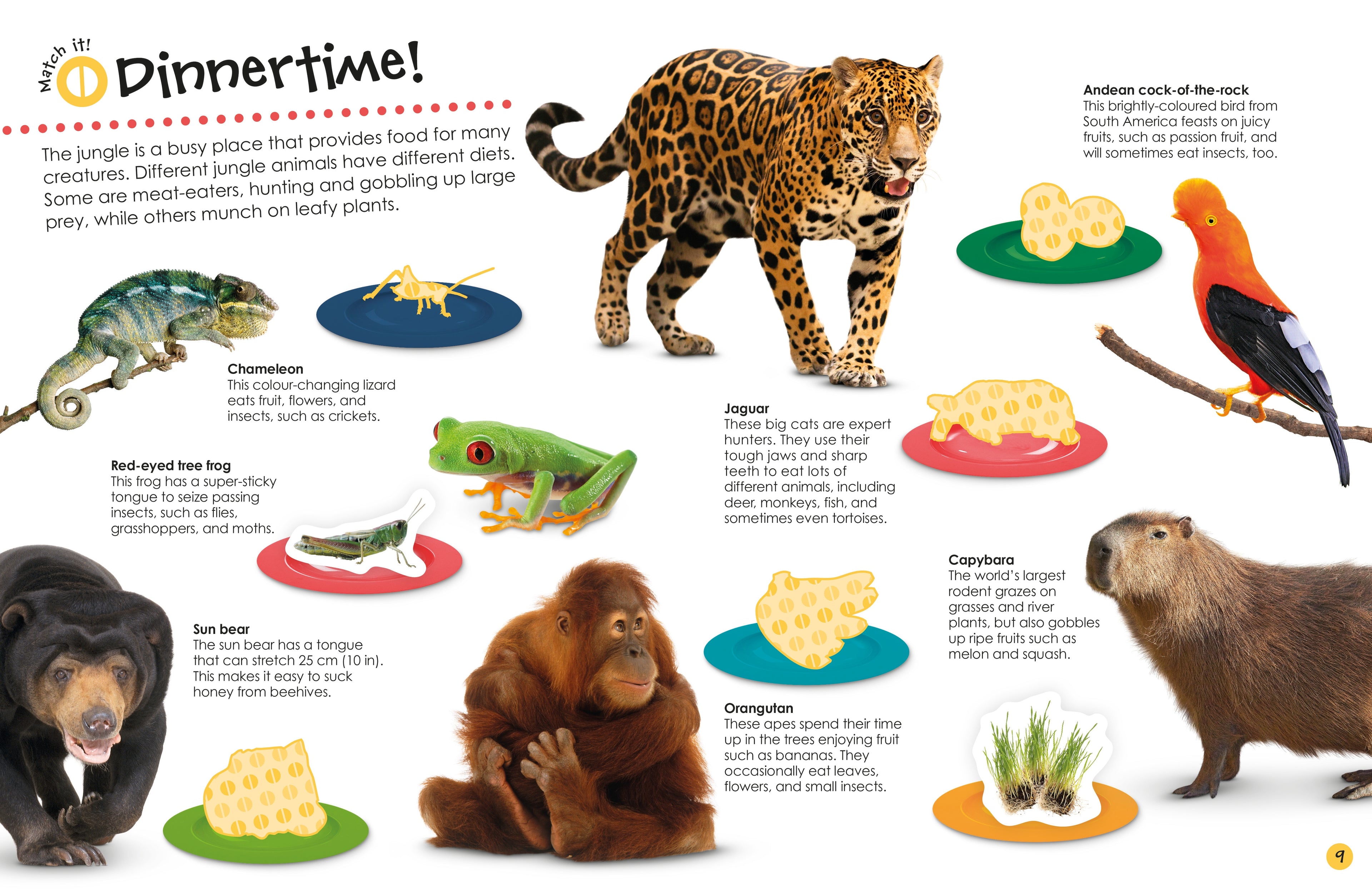 Jungle Ultimate Sticker Book