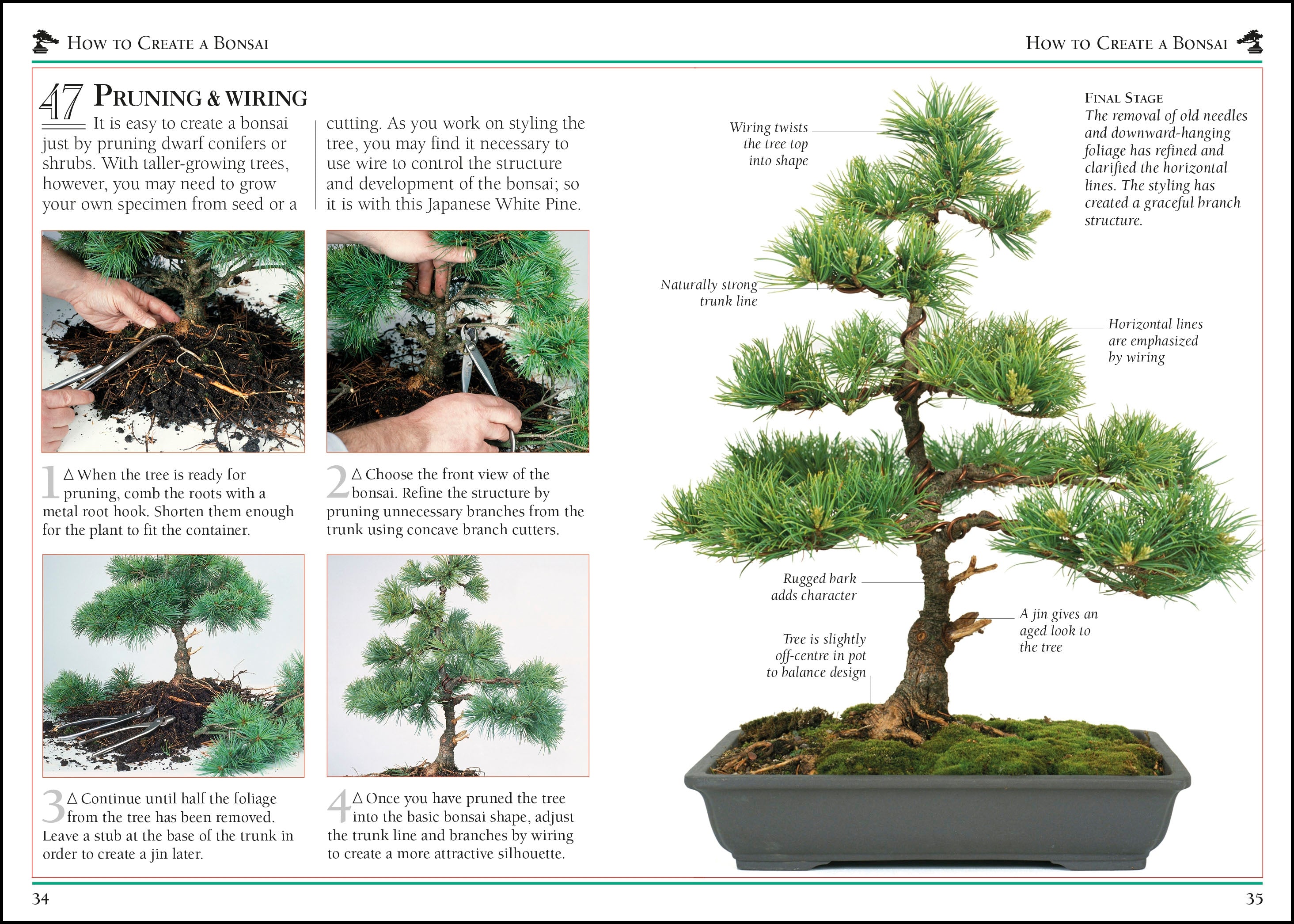 101 Essential Tips Bonsai