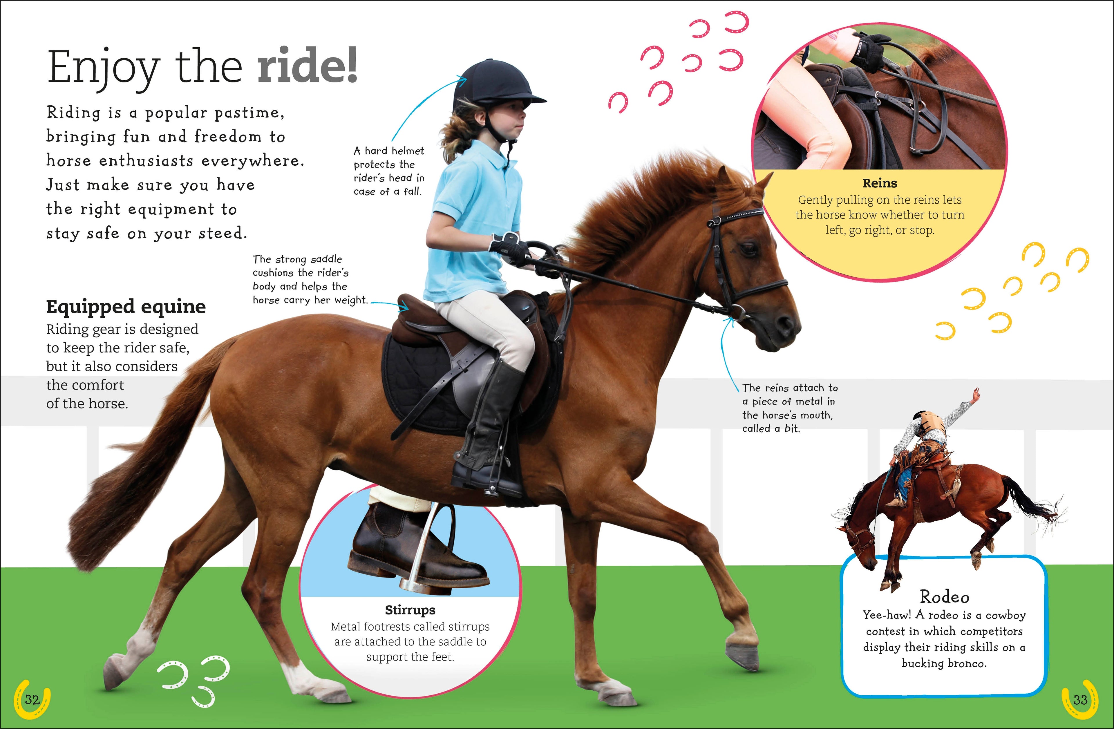 The Everything Book of Horses and Ponies