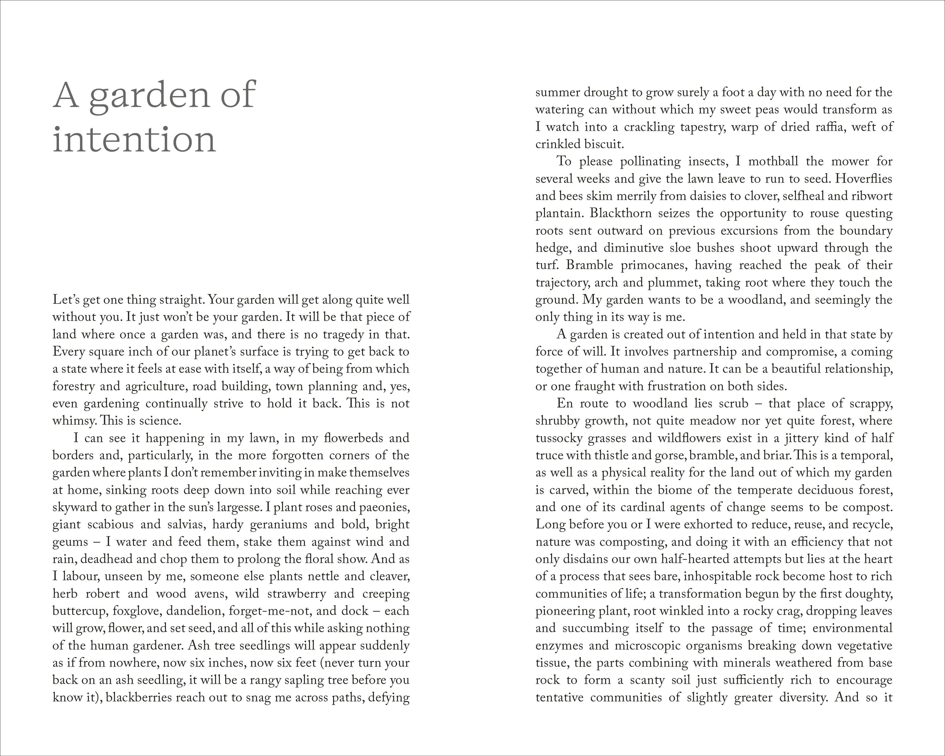 To Stand And Stare-Spread, Image, (PRHC, Design, Do, Not, Use)-2