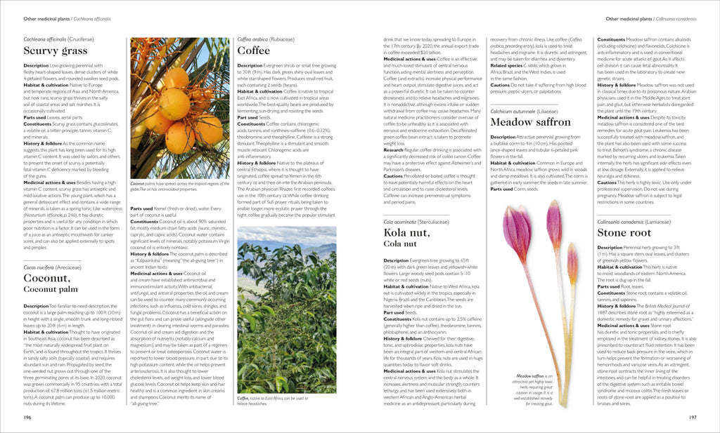 Encyclopedia of Herbal Medicine New Edition-image