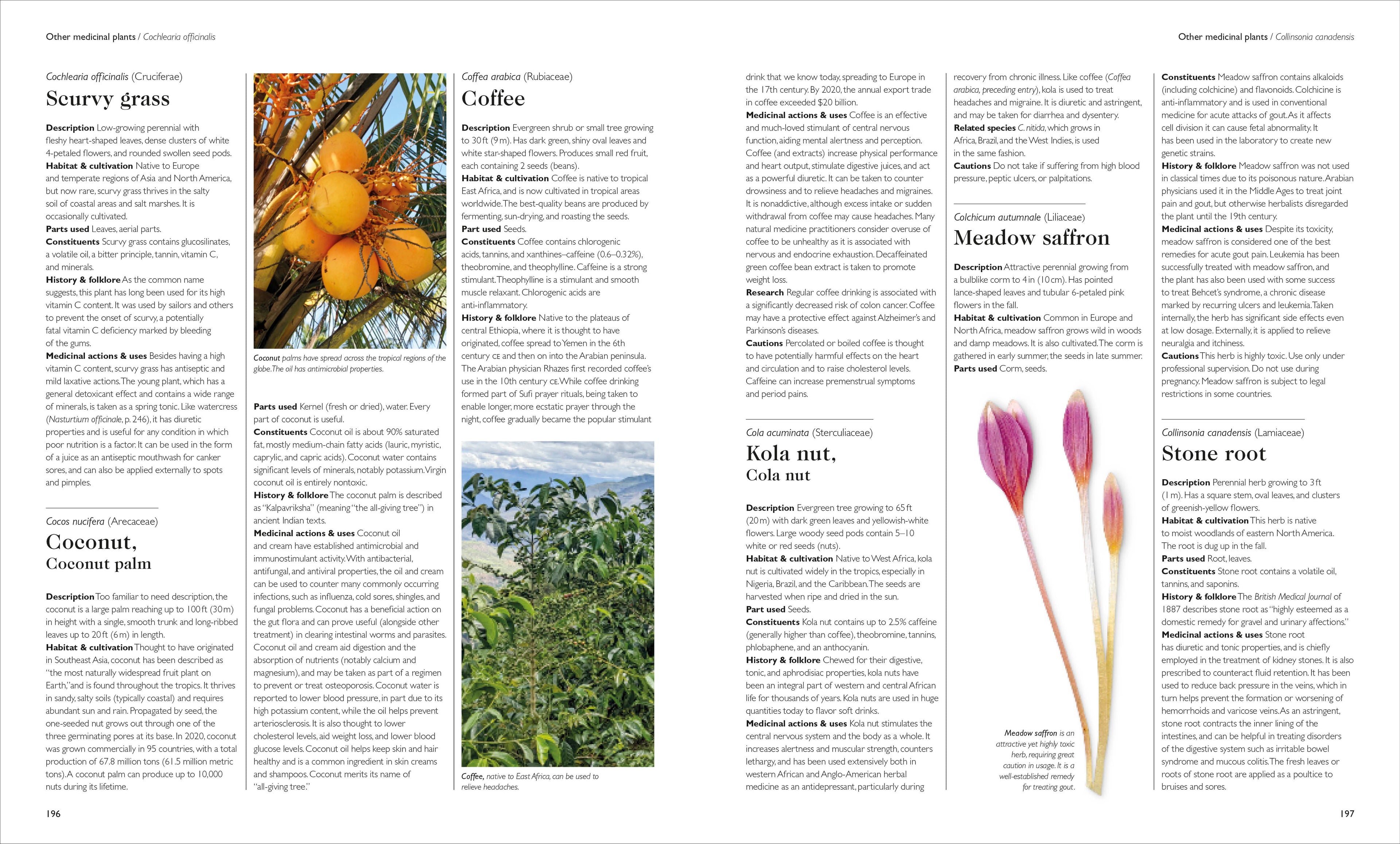 Encyclopedia of Herbal Medicine New Edition-image