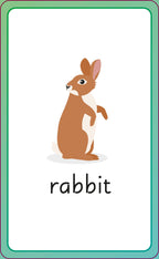 English for Everyone Junior First Words Animals Flash Cards-Spread, Image, (PRHC, Design, Do, Not, Use)-7