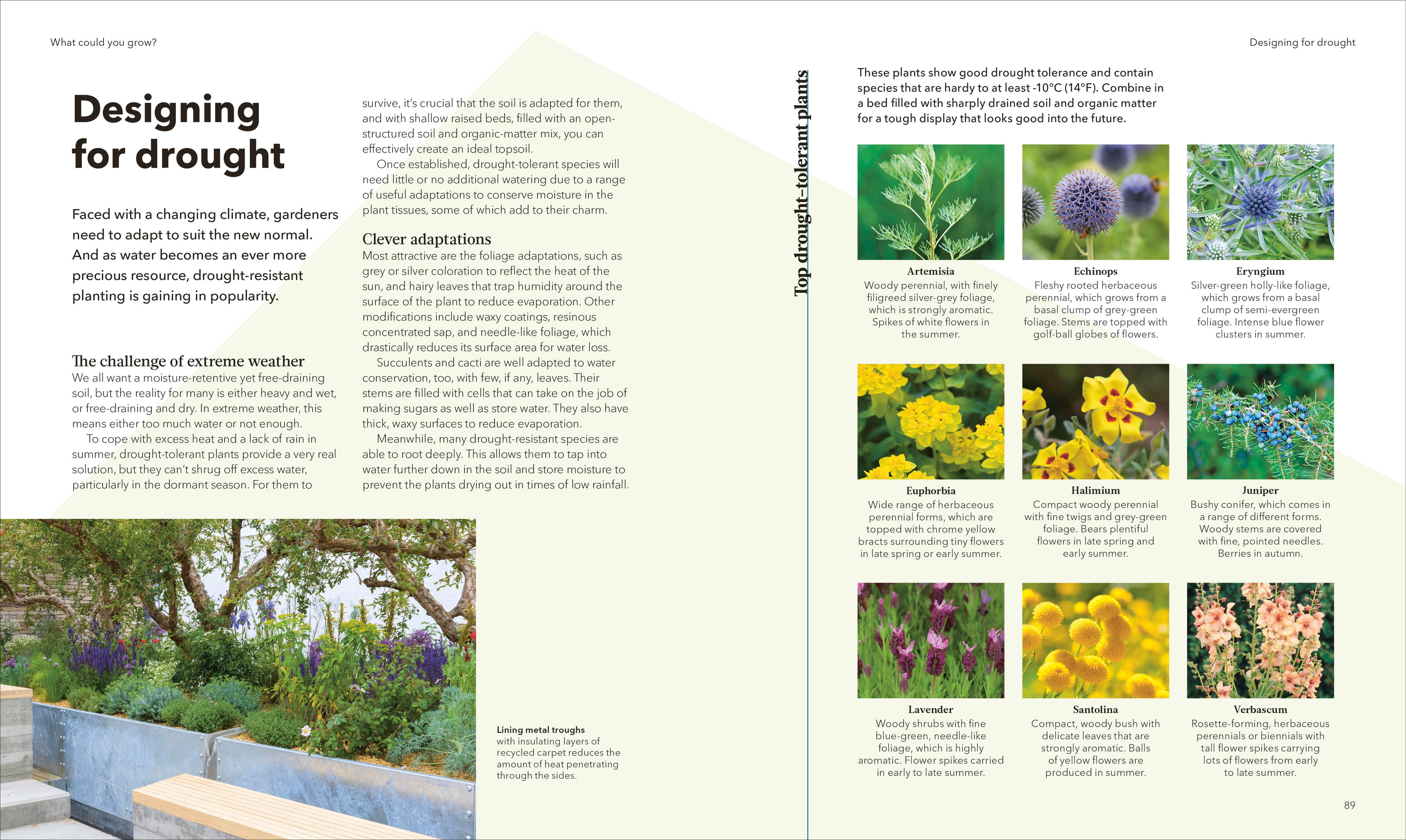 The Raised Bed Book