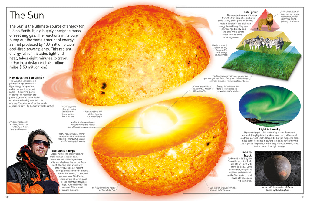 DK Eyewitness Books: Energy