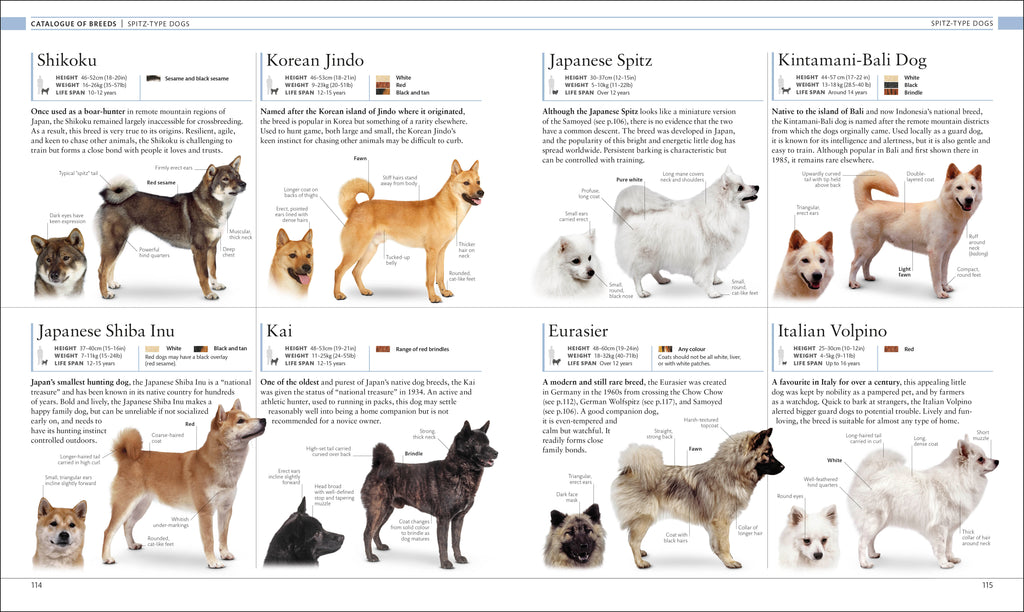 The Dog Encyclopedia