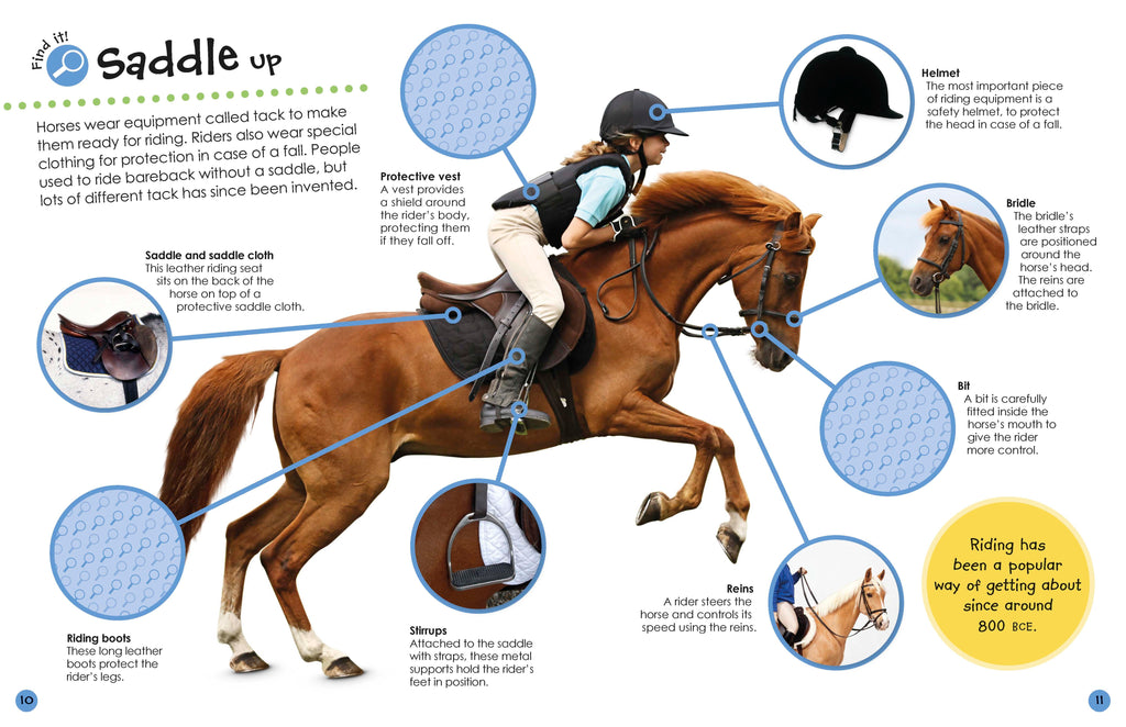 Horses and Ponies Ultimate Sticker Book