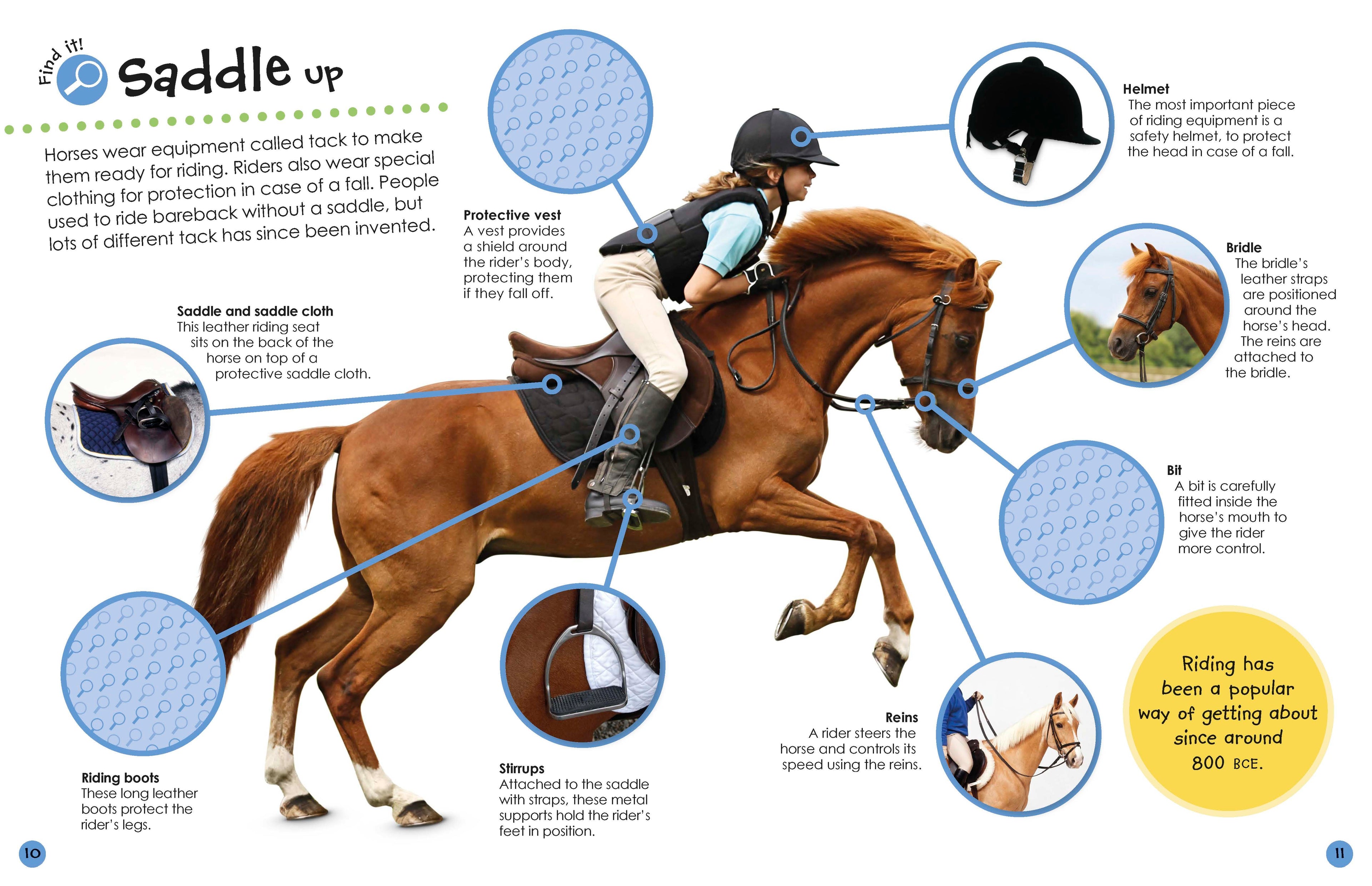 Horses and Ponies Ultimate Sticker Book