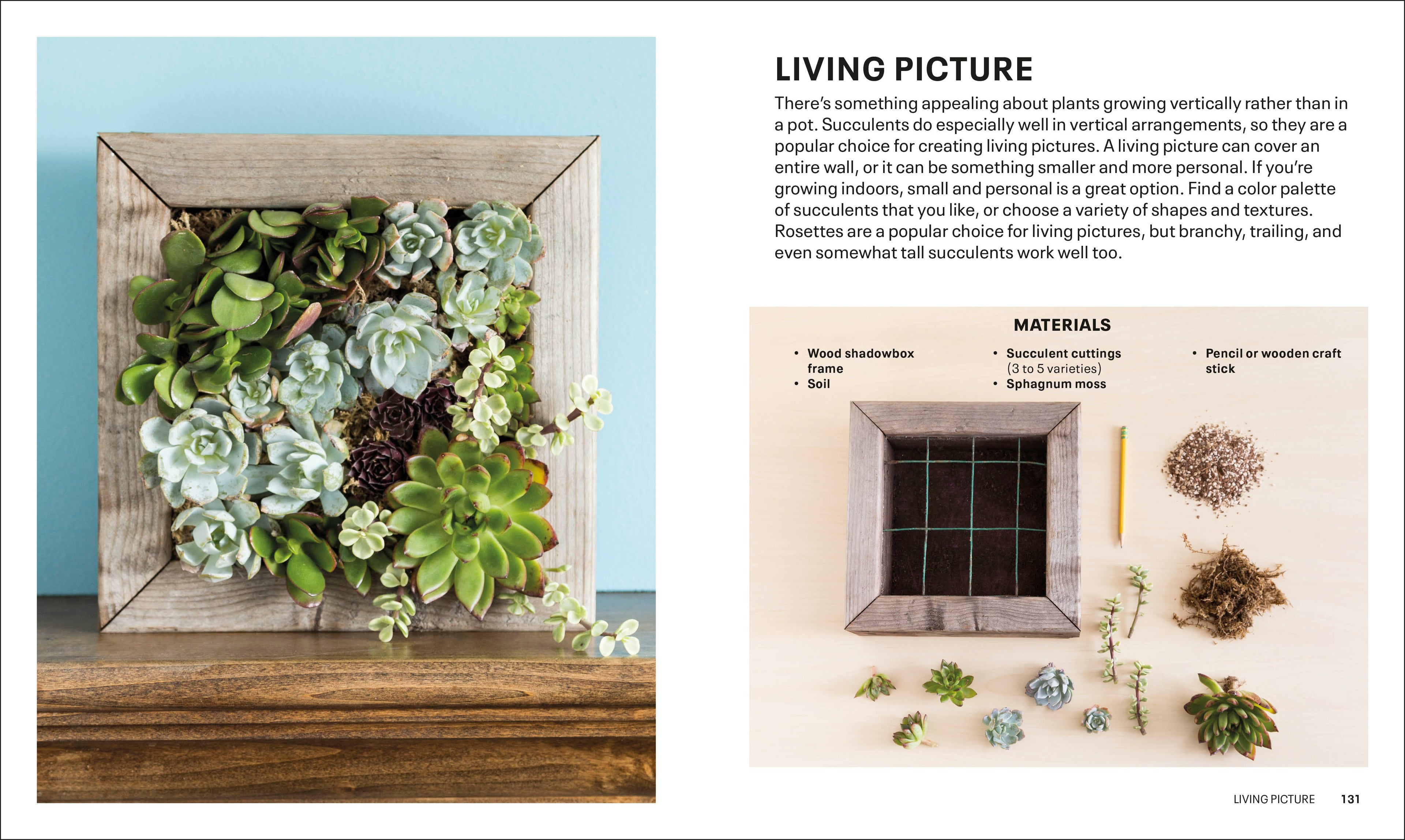 Succulents-Spread, Image, (PRHC, Design, Do, Not, Use)-5