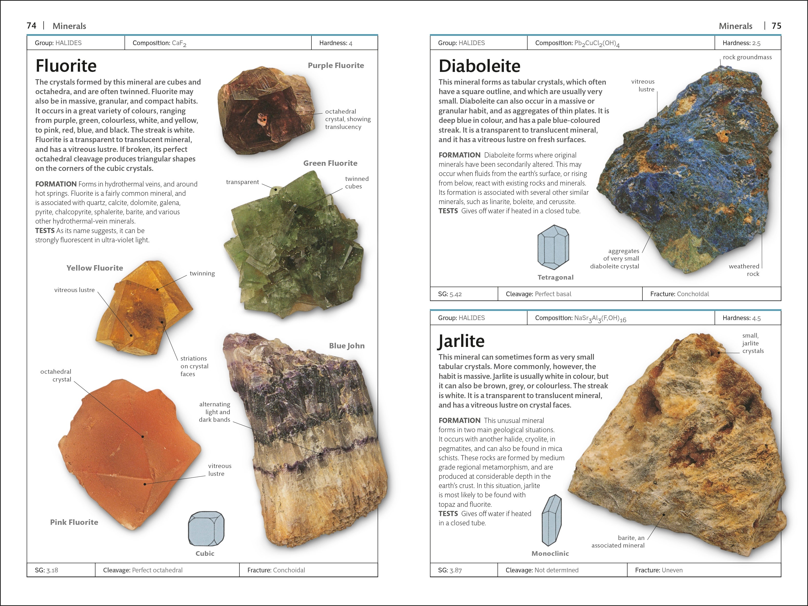 Rocks & Minerals