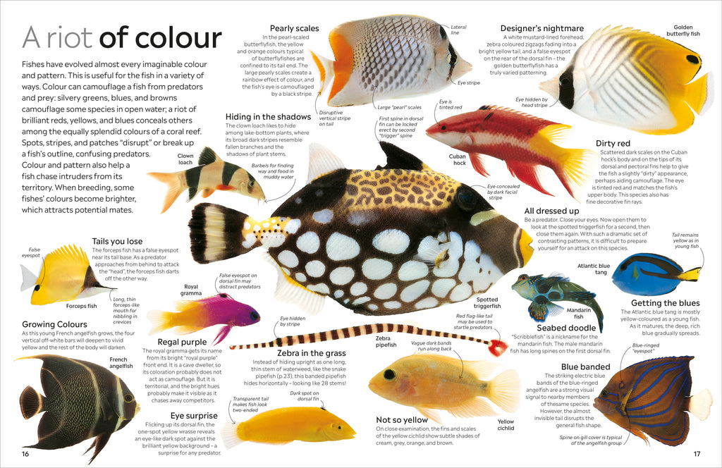 Fish-Spread, Image, (PRHC, Design, Do, Not, Use)-1