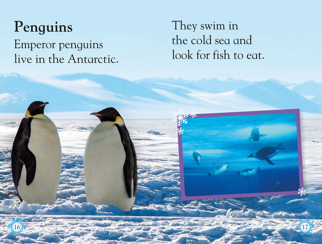 DK Readers L1 Frozen Worlds