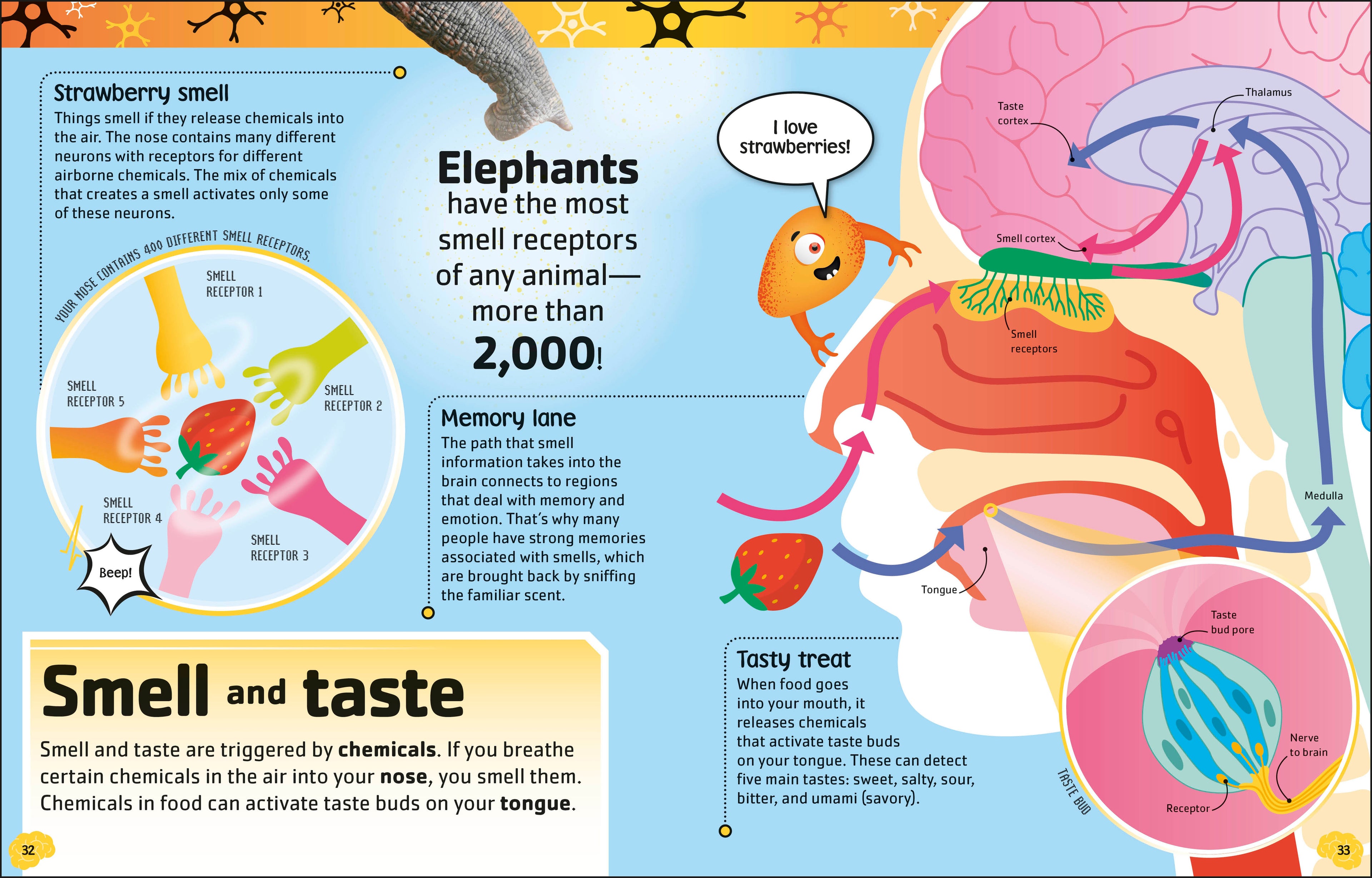The Brain Book-Spread, Image, (PRHC, Design, Do, Not, Use)-2