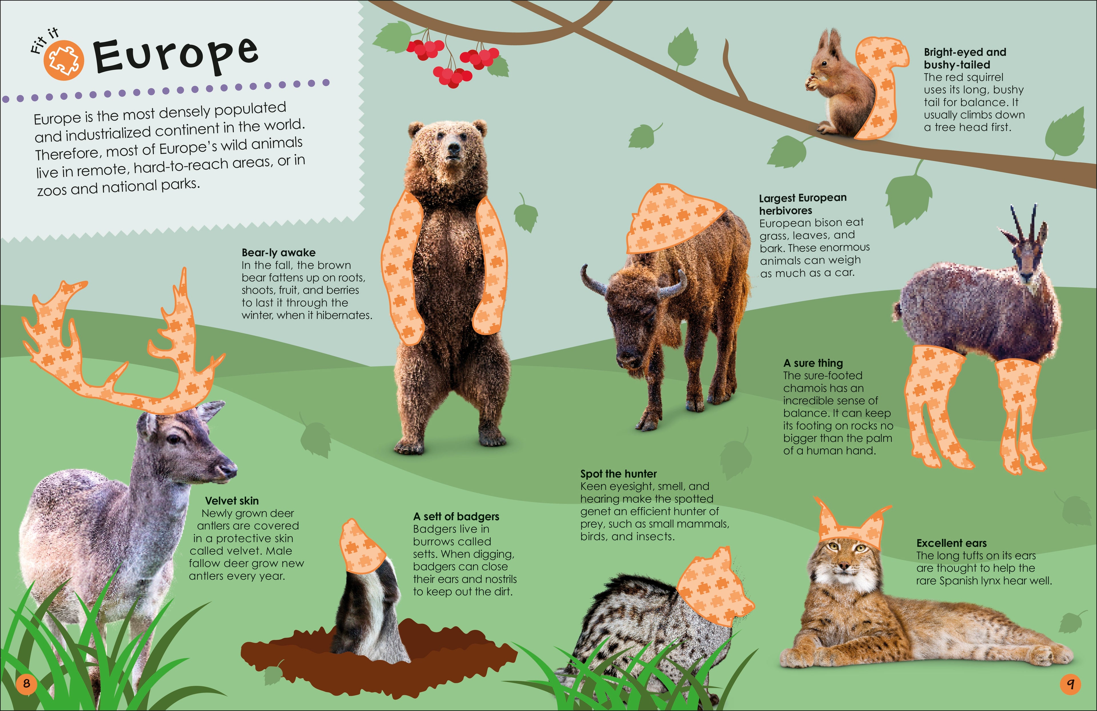 Ultimate Sticker Book Animals
