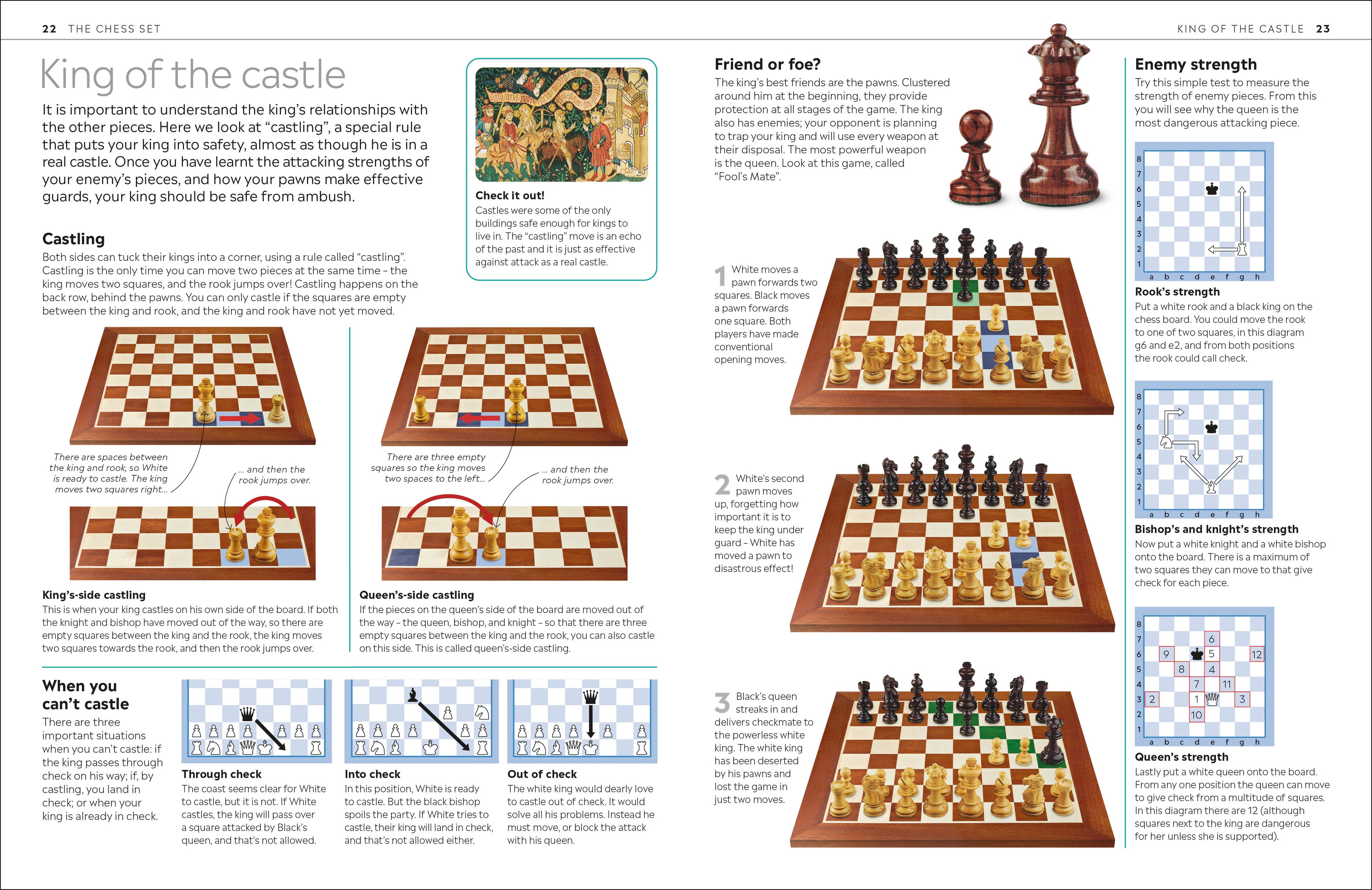 Chess for Beginners