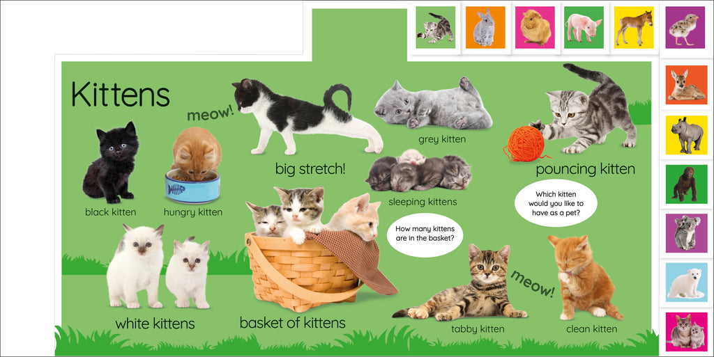 My First Baby Animals: Let's Find Our Favourites!