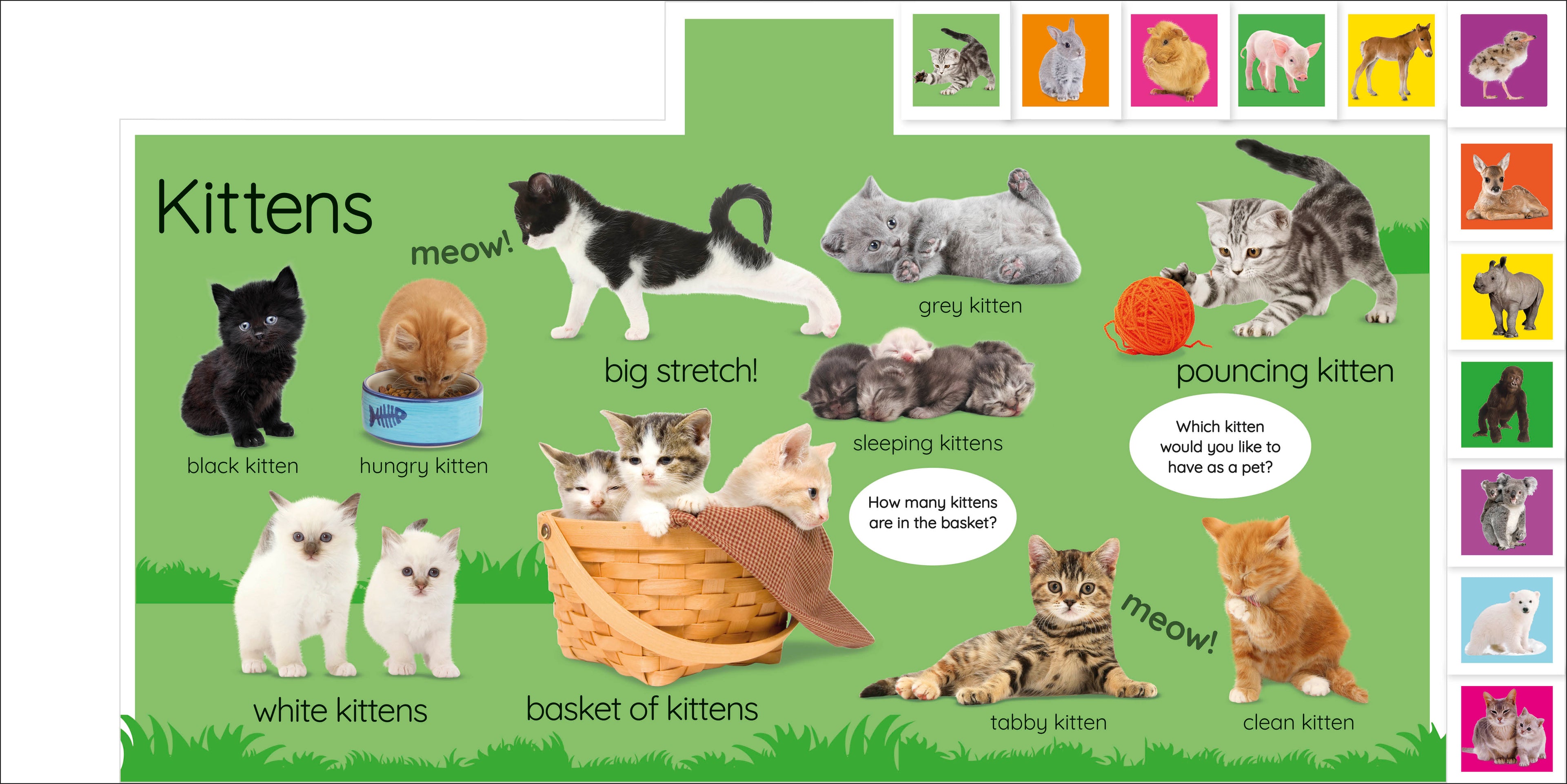 My First Baby Animals: Let's Find Our Favourites!