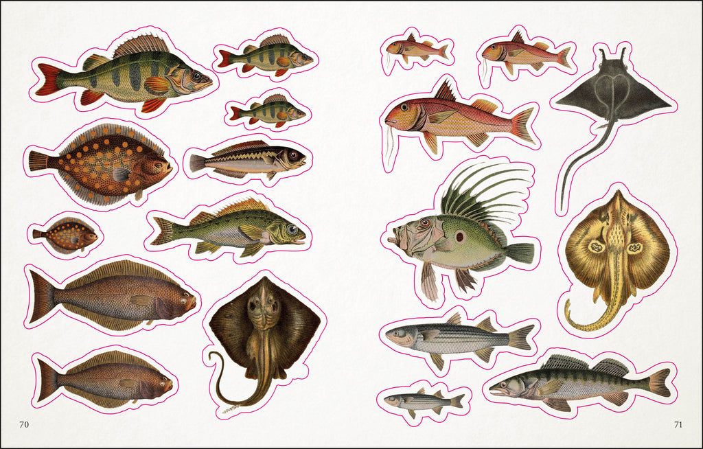 The Seashore Sticker Anthology-spread image