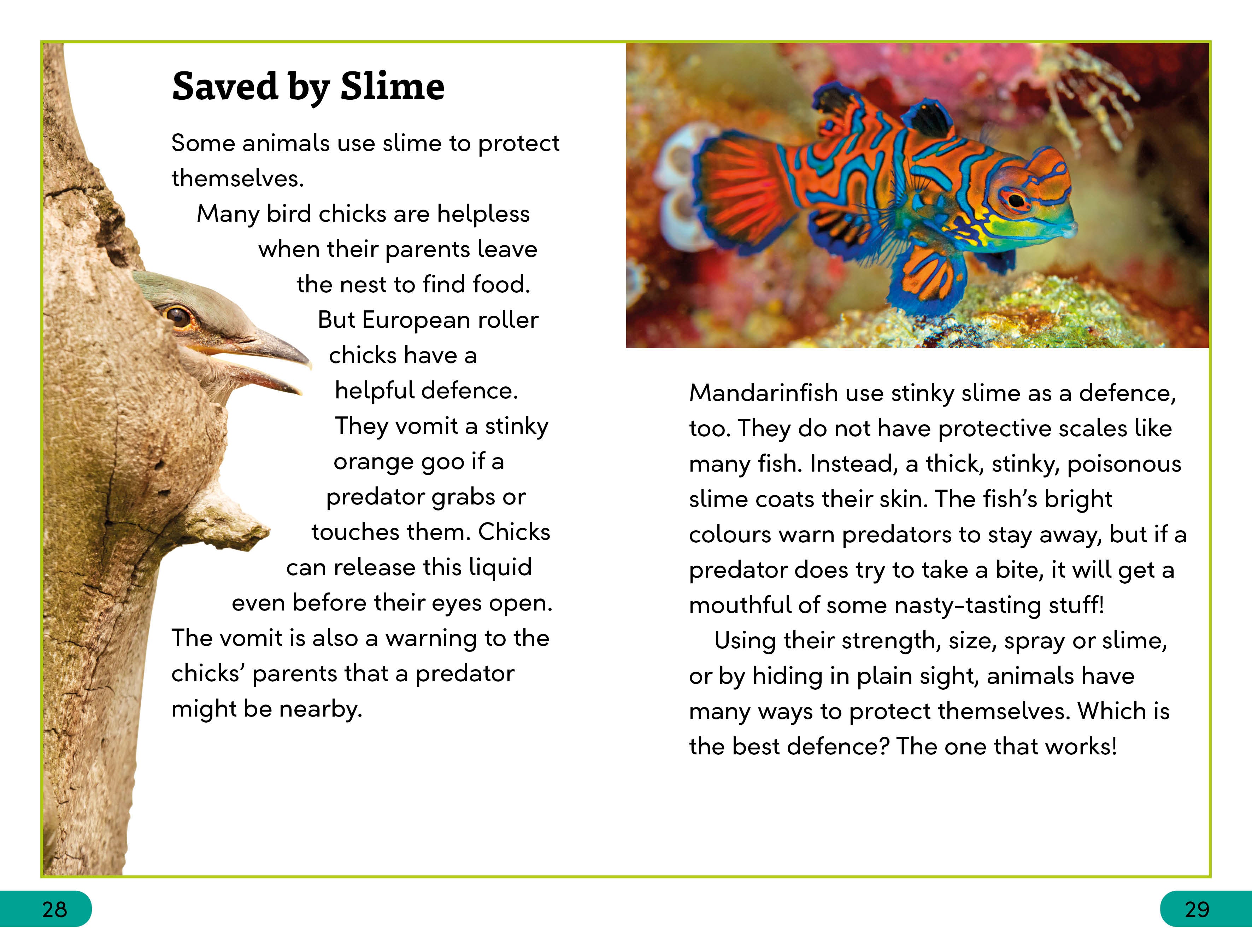 DK Super Readers Level 3 Animal Defences