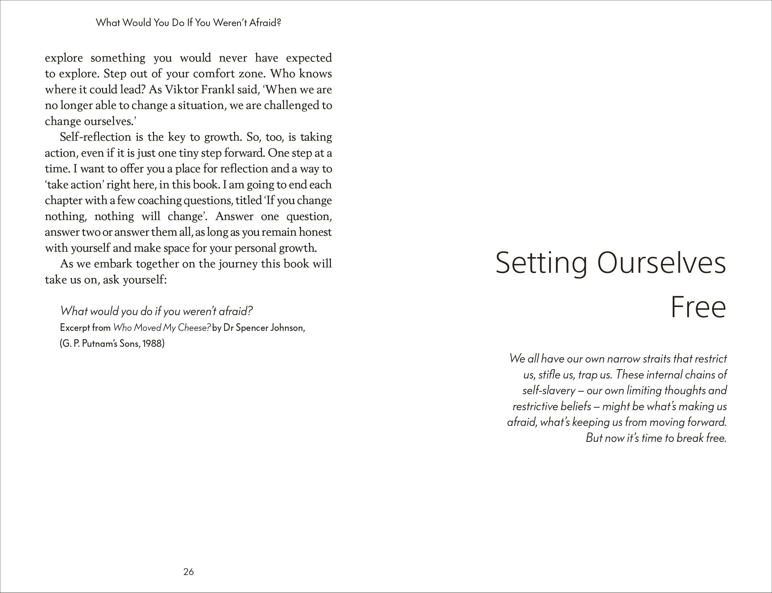 What Would You Do If You Weren't Afraid?-image