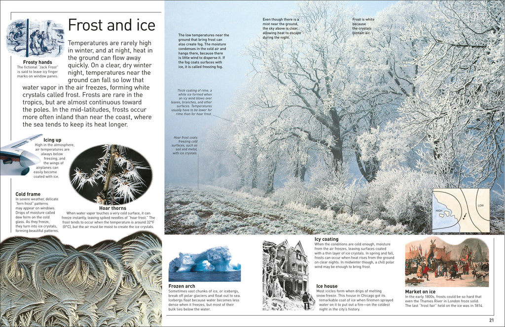 DK Eyewitness Books: Weather